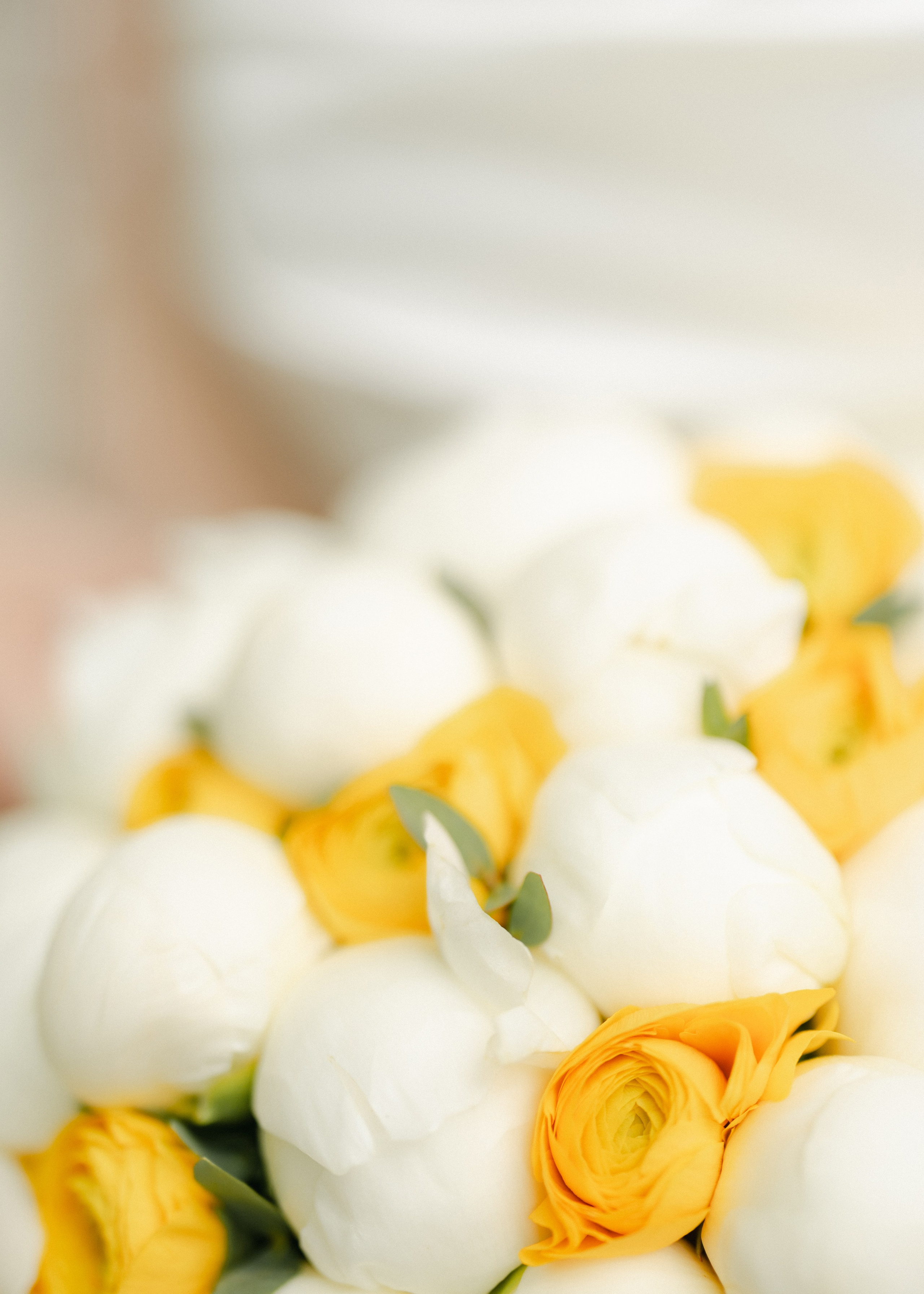 Wedding. Anastasia Post: Wedding and Editorial Photography