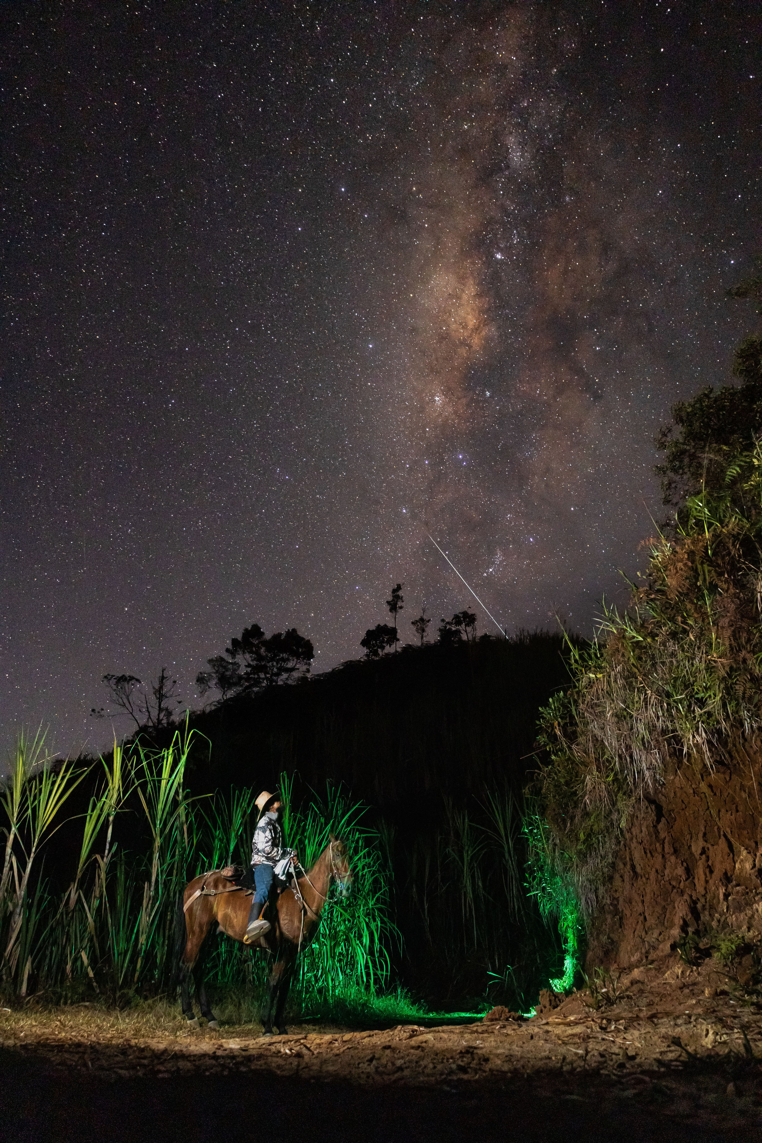 Fotografía profesional para su evento y marca personal