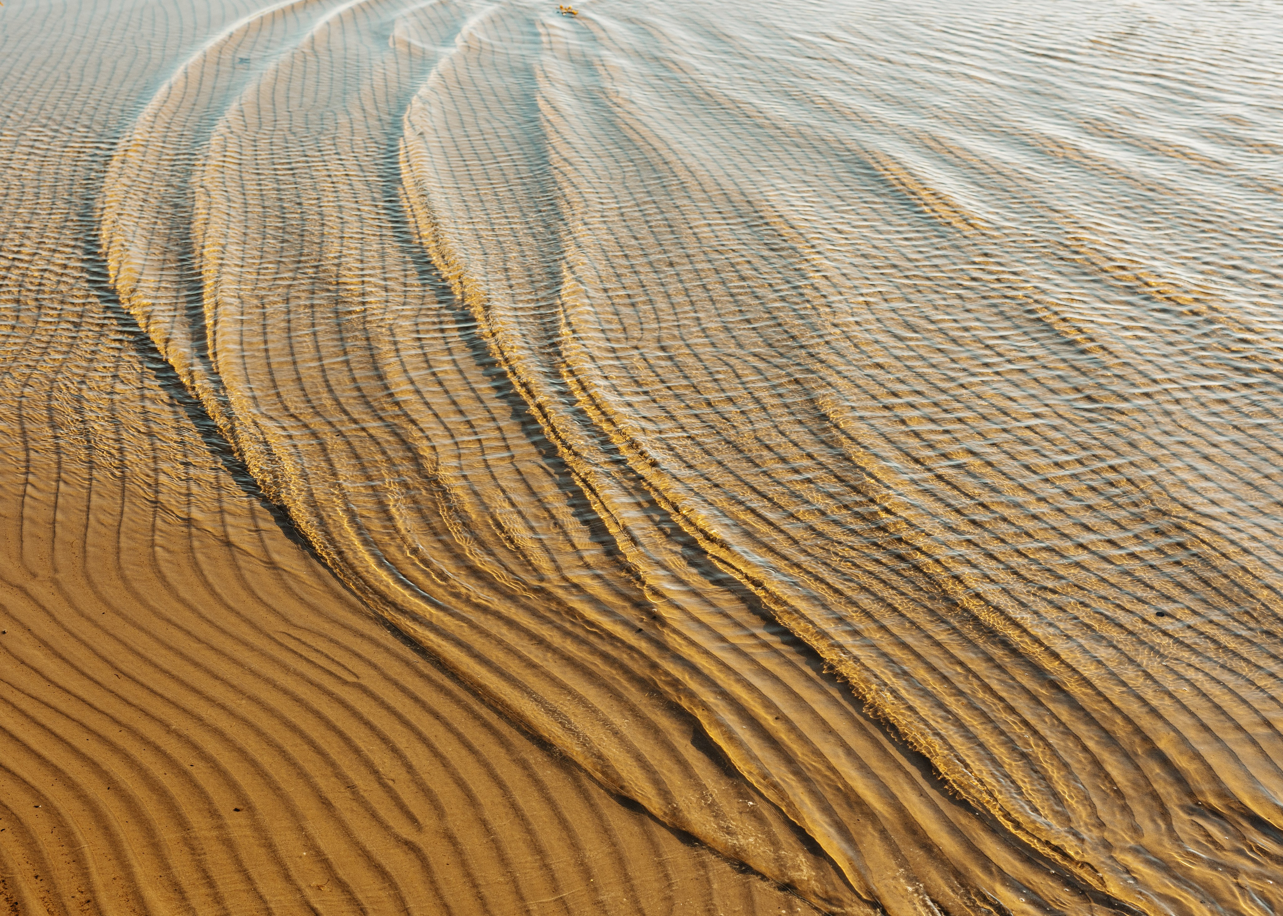 Dažādas fotogrāfijas. Sajūtu un mirkļu fotogrāfs no Rīgas, Mārtiņš Babris