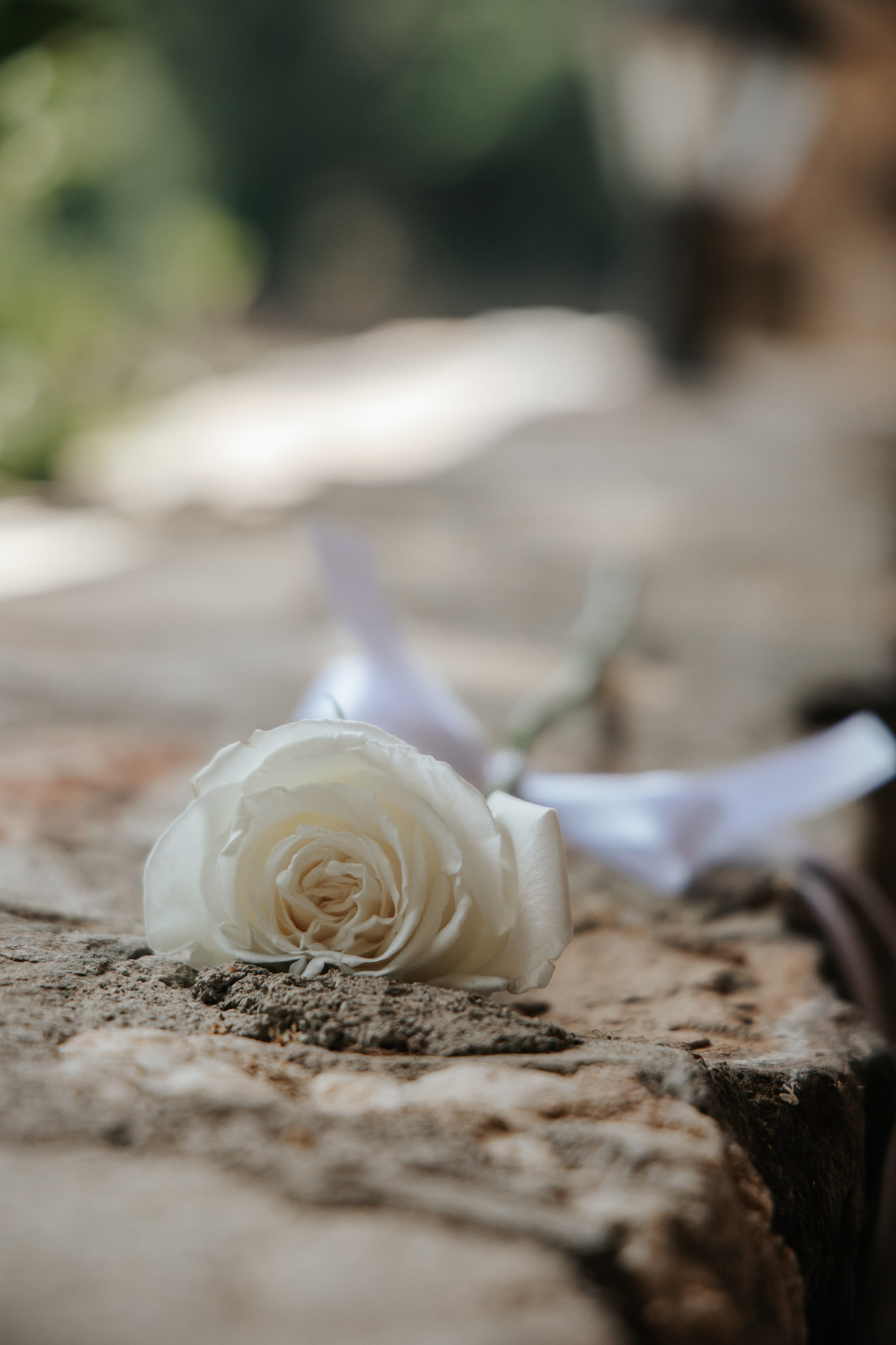 Hollie & Matt, 29/05/2026, Can Jaques. Fotógrafa de bodas en Girona, Costa Brava | Wedding Photographer Evgenia Gruntovaya