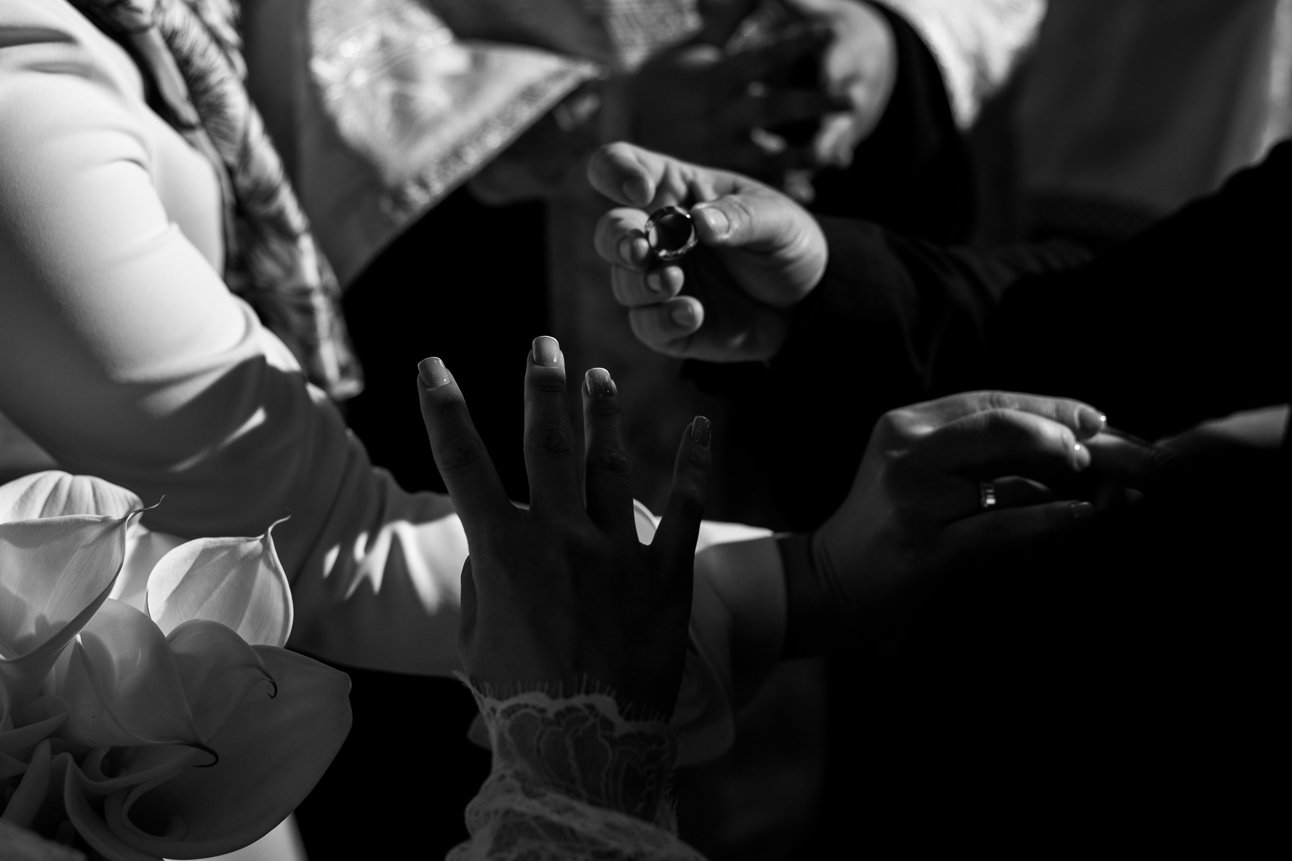 Zaxi - Franck & Panaghia. Фото & Видео услуги📸