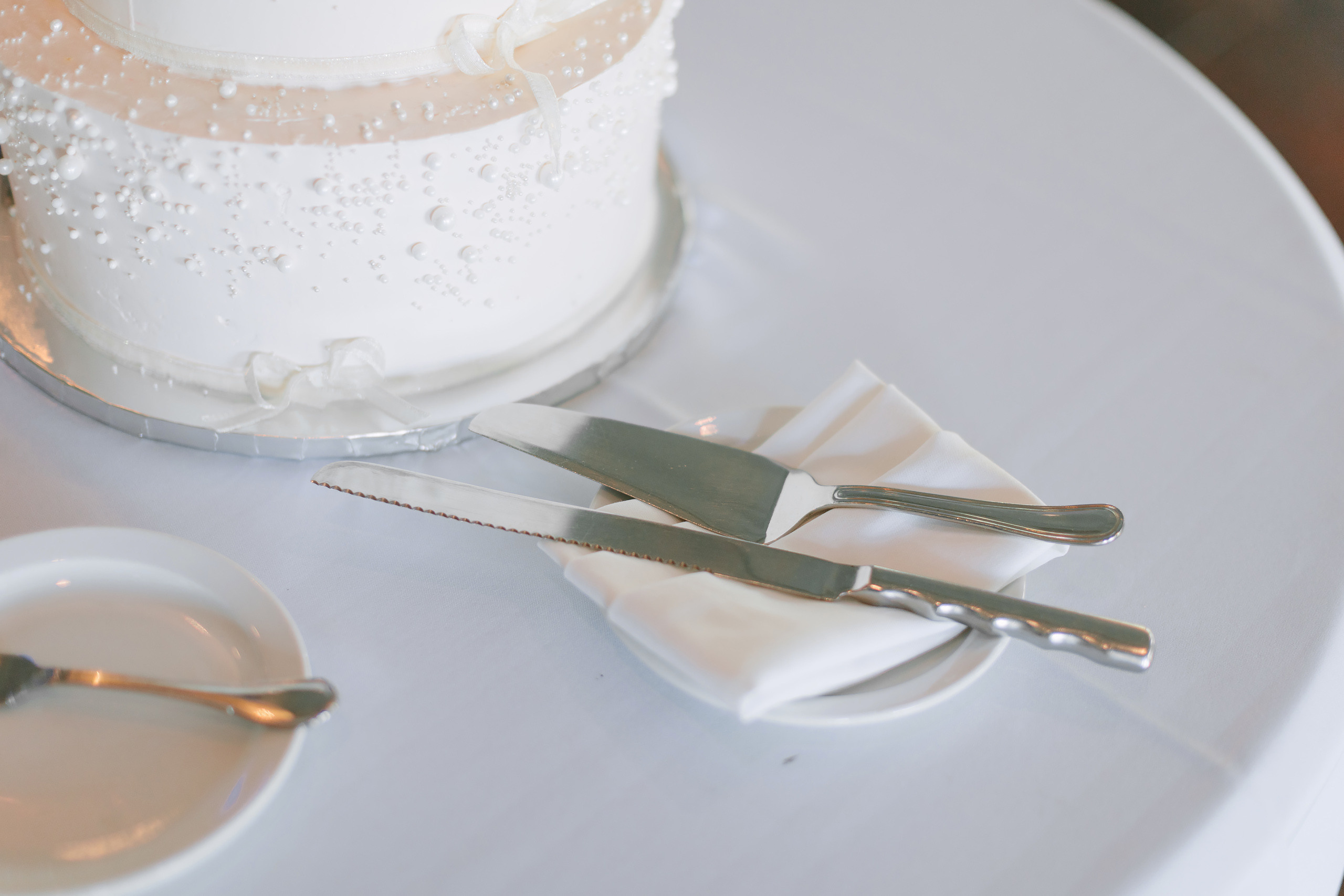 09.09.2023 Wedding. Wedding family event photographer in Chicago Nick Yushevich