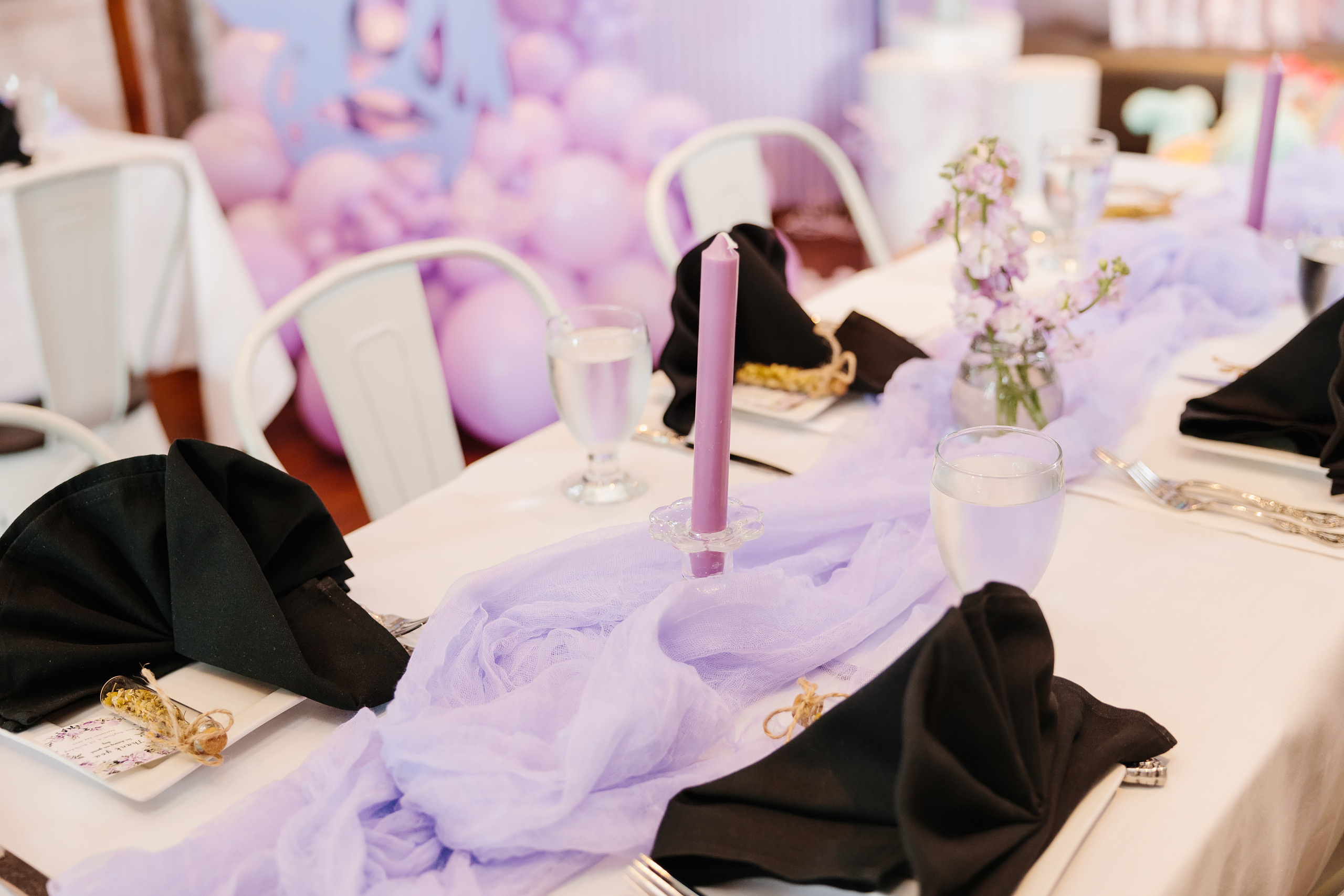 09.02.2023 Christening Party. Wedding family event photographer in Chicago Nick Yushevich