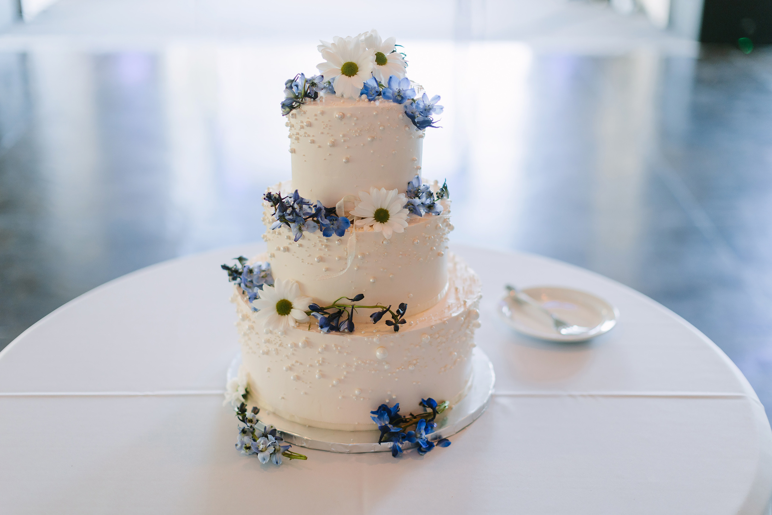 09.09.2023 Wedding. Wedding family event photographer in Chicago Nick Yushevich