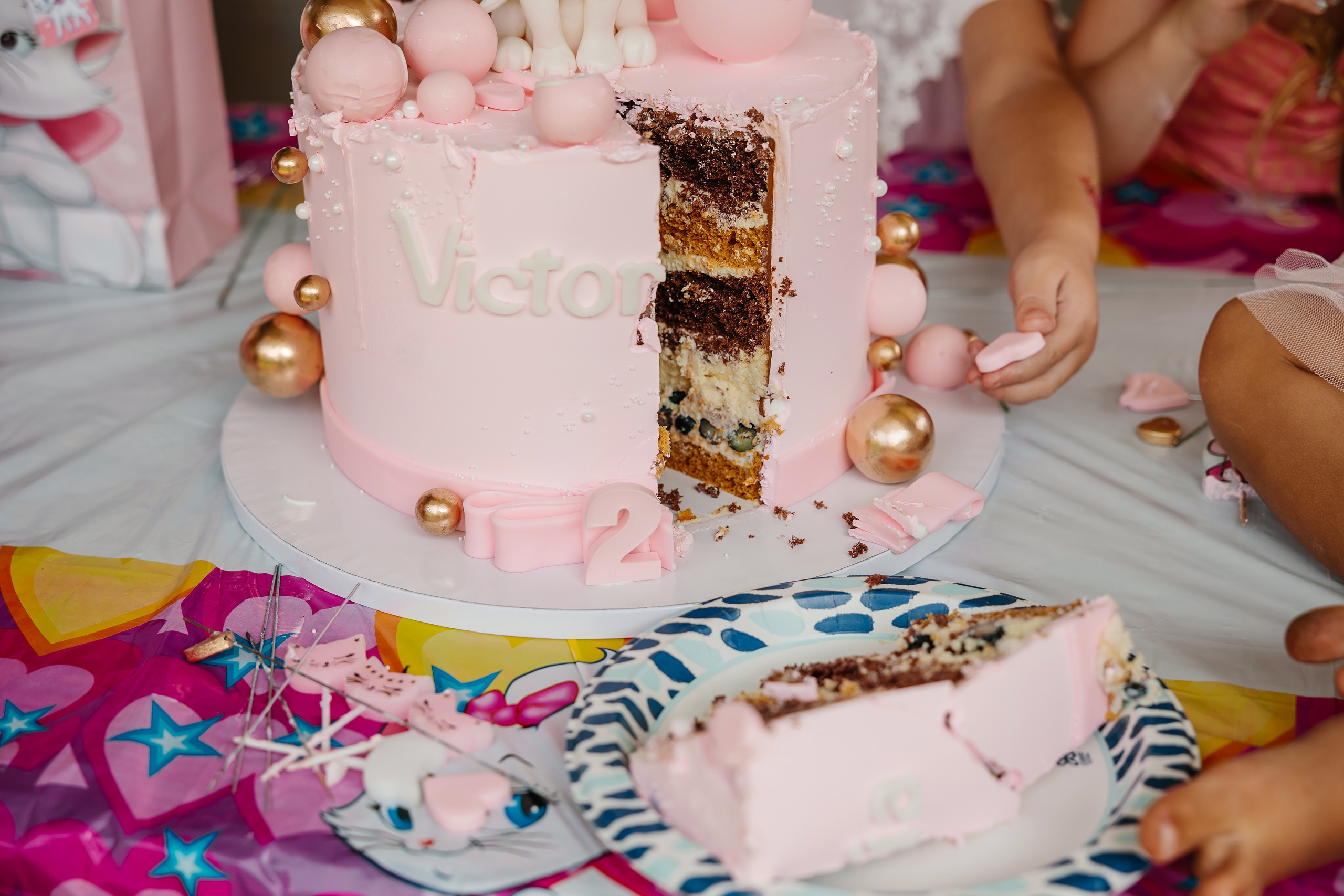 07.23.2023 Birthday Party. Wedding family event photographer in Chicago Nick Yushevich