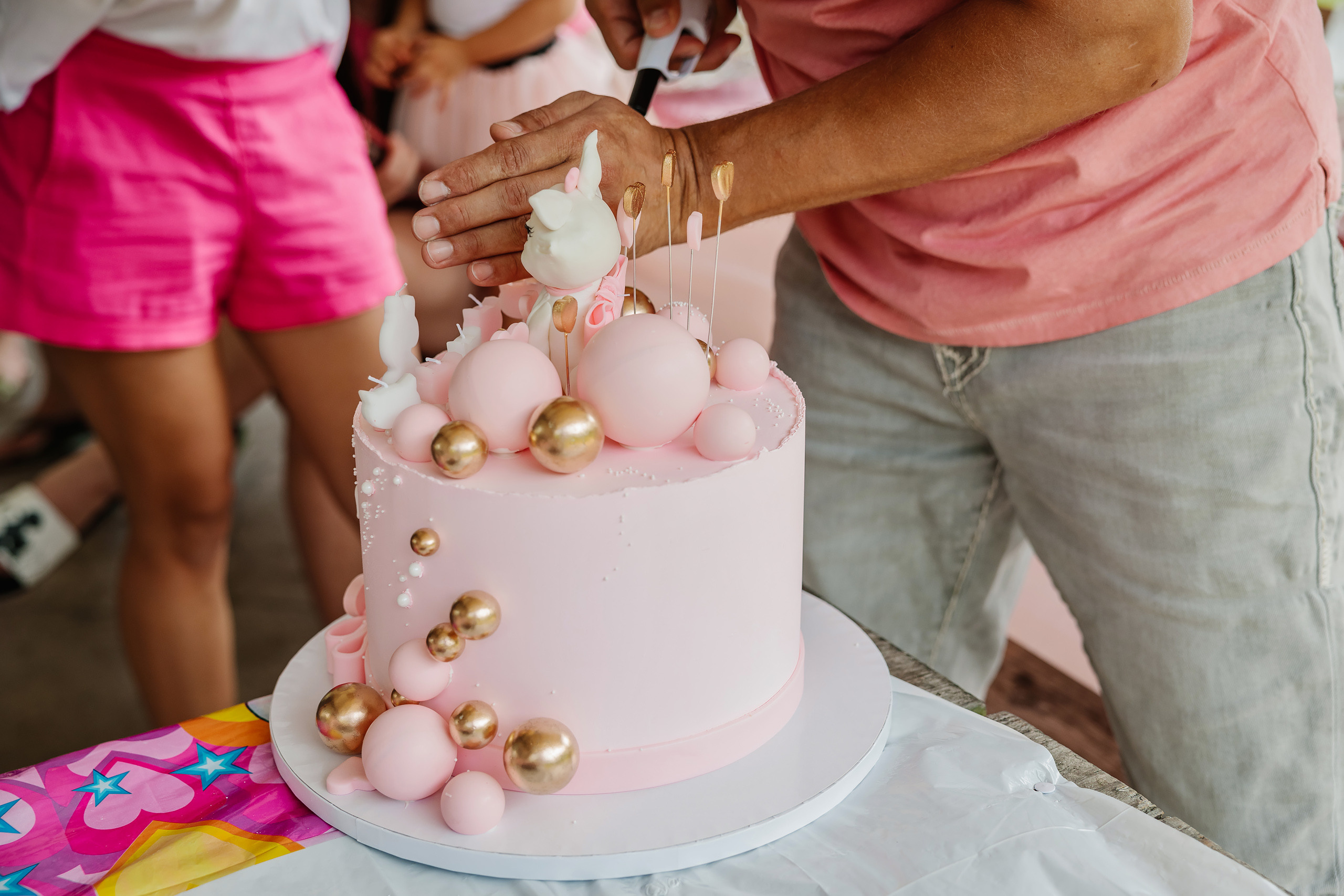 07.23.2023 Birthday Party. Wedding family event photographer in Chicago Nick Yushevich