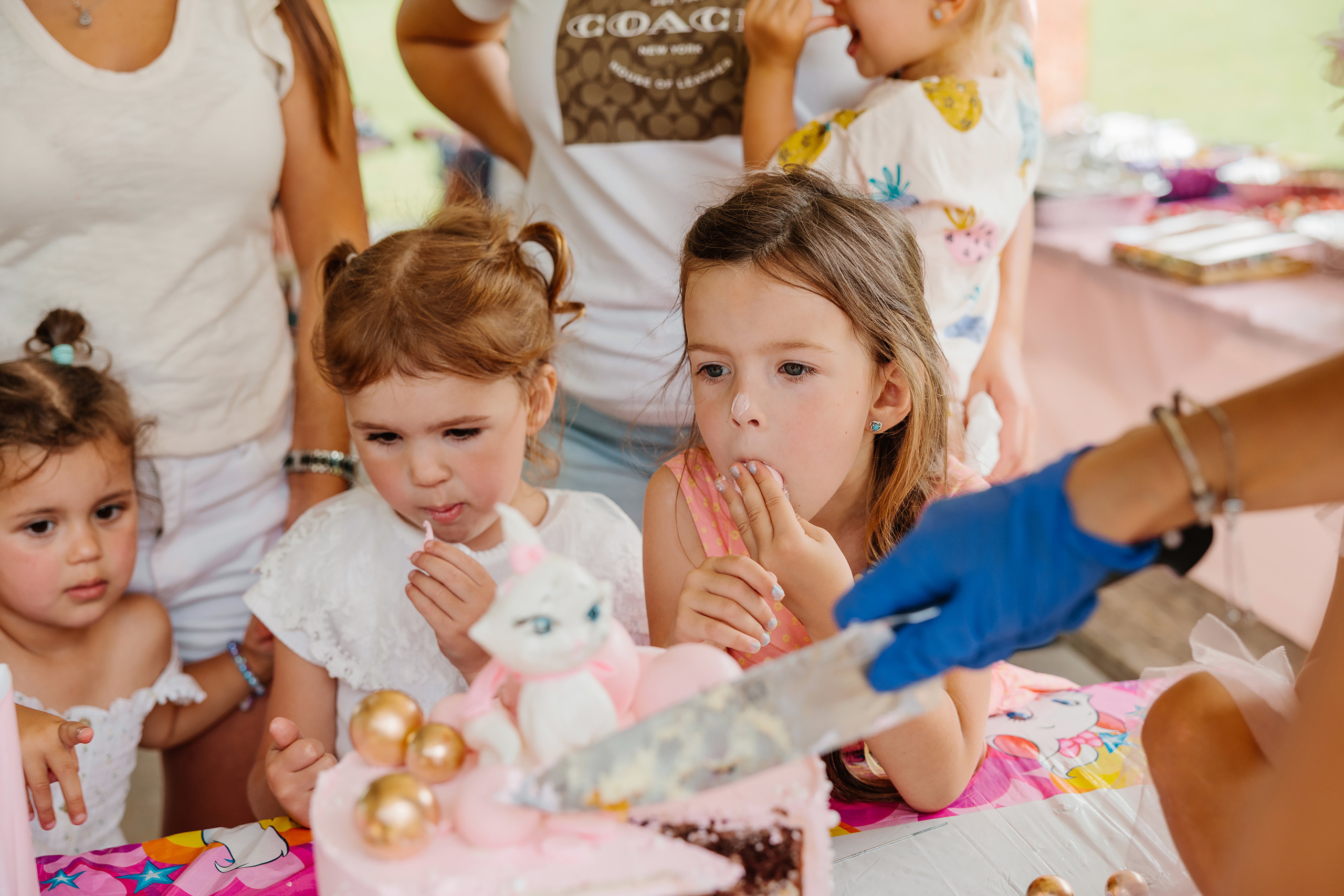 07.23.2023 Birthday Party. Wedding family event photographer in Chicago Nick Yushevich