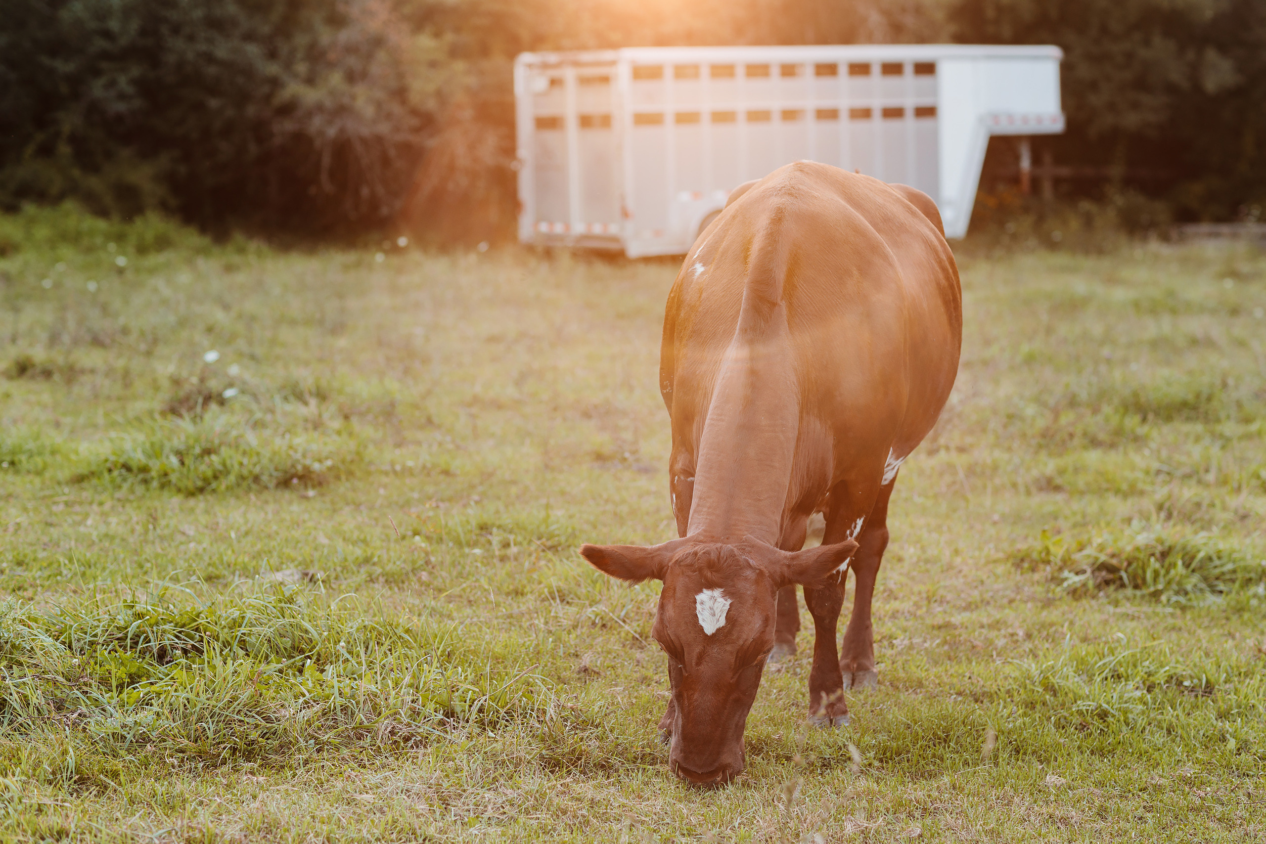 08.19.23 Family Photoshoot. Wedding family event photographer in Chicago Nick Yushevich