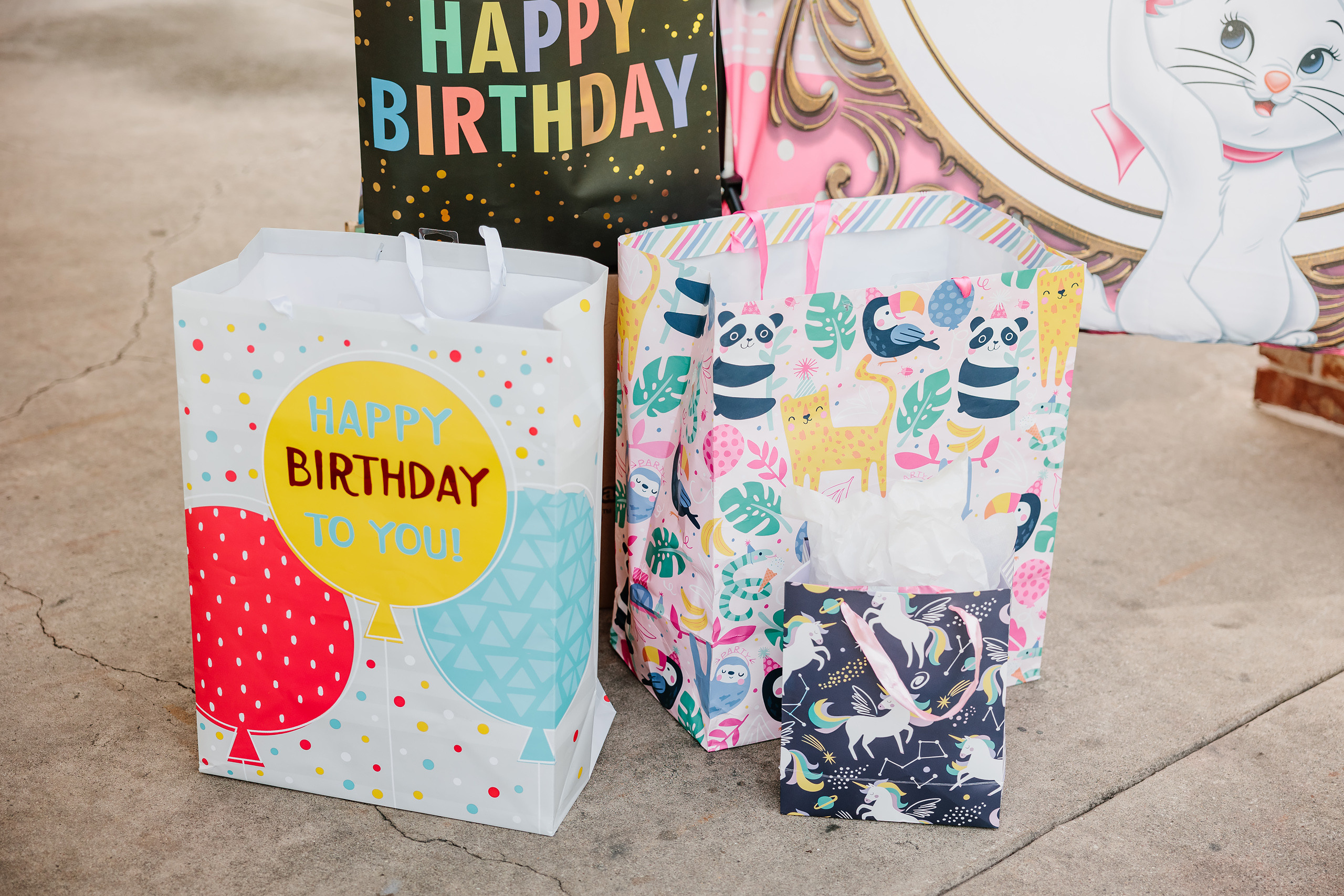 07.23.2023 Birthday Party. Wedding family event photographer in Chicago Nick Yushevich