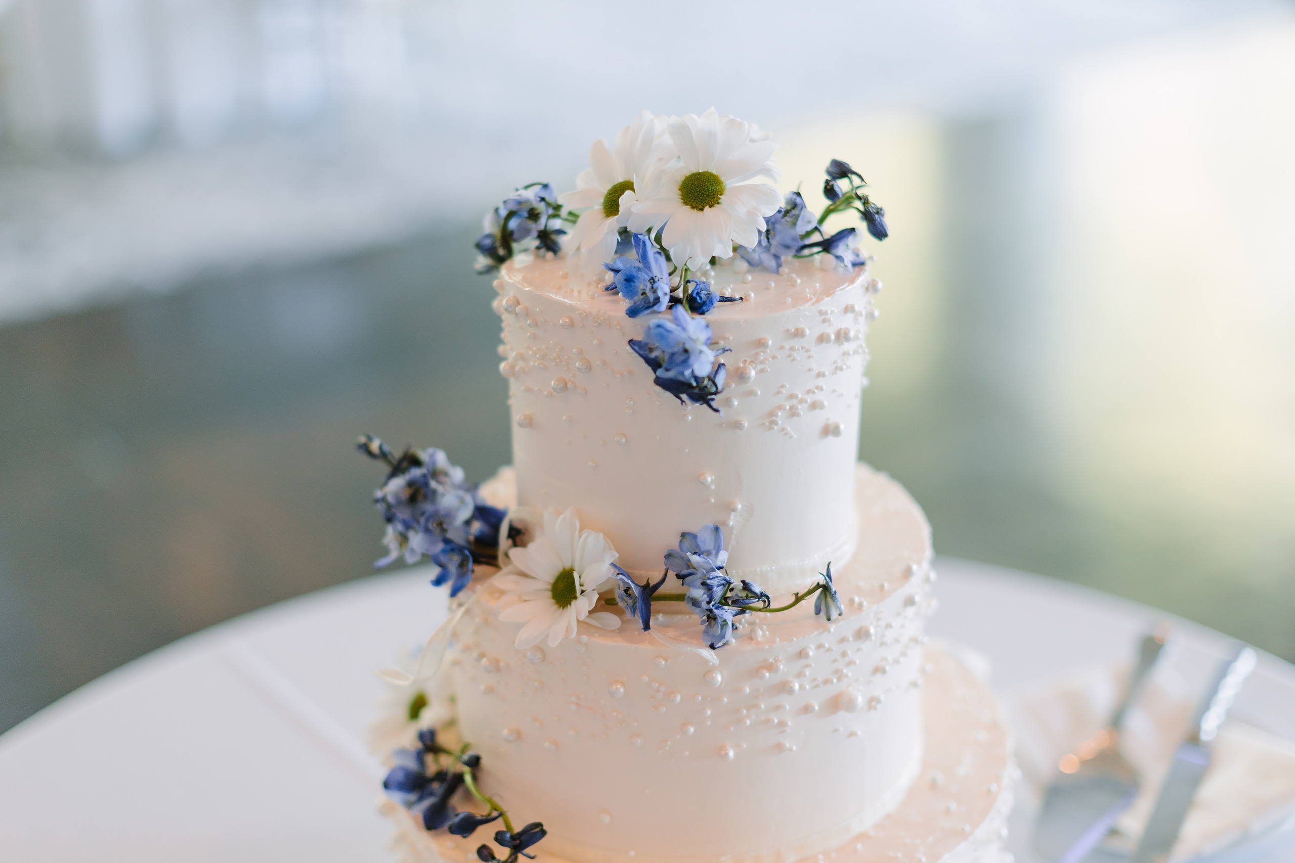 09.09.2023 Wedding. Wedding family event photographer in Chicago Nick Yushevich