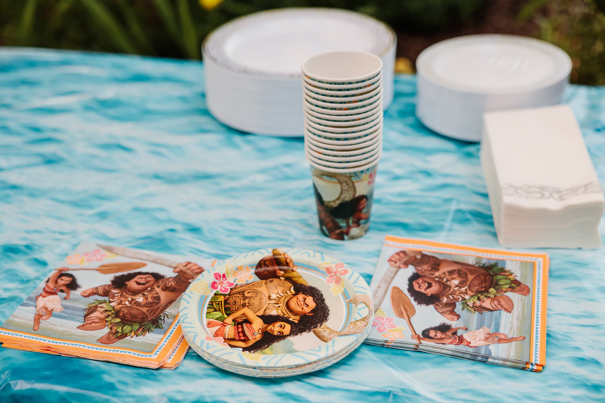 08.30.2023 Birthday Party. Wedding family event photographer in Chicago Nick Yushevich