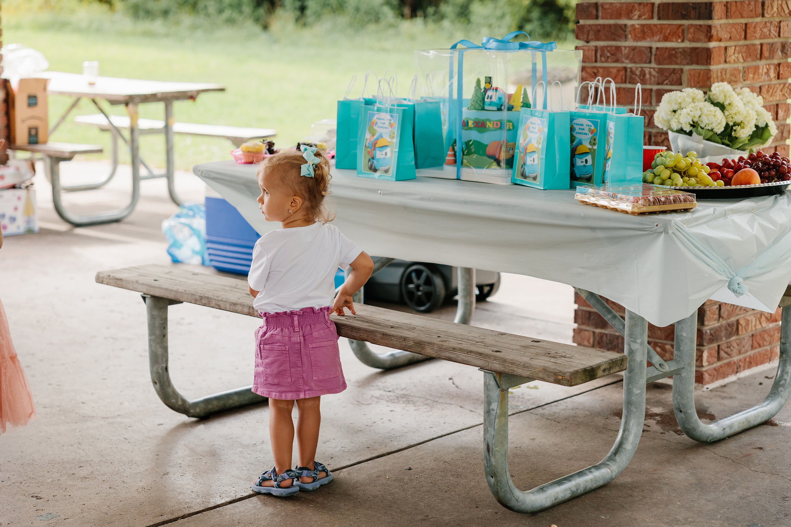 08.26.2023 Birthday Party. Wedding family event photographer in Chicago Nick Yushevich