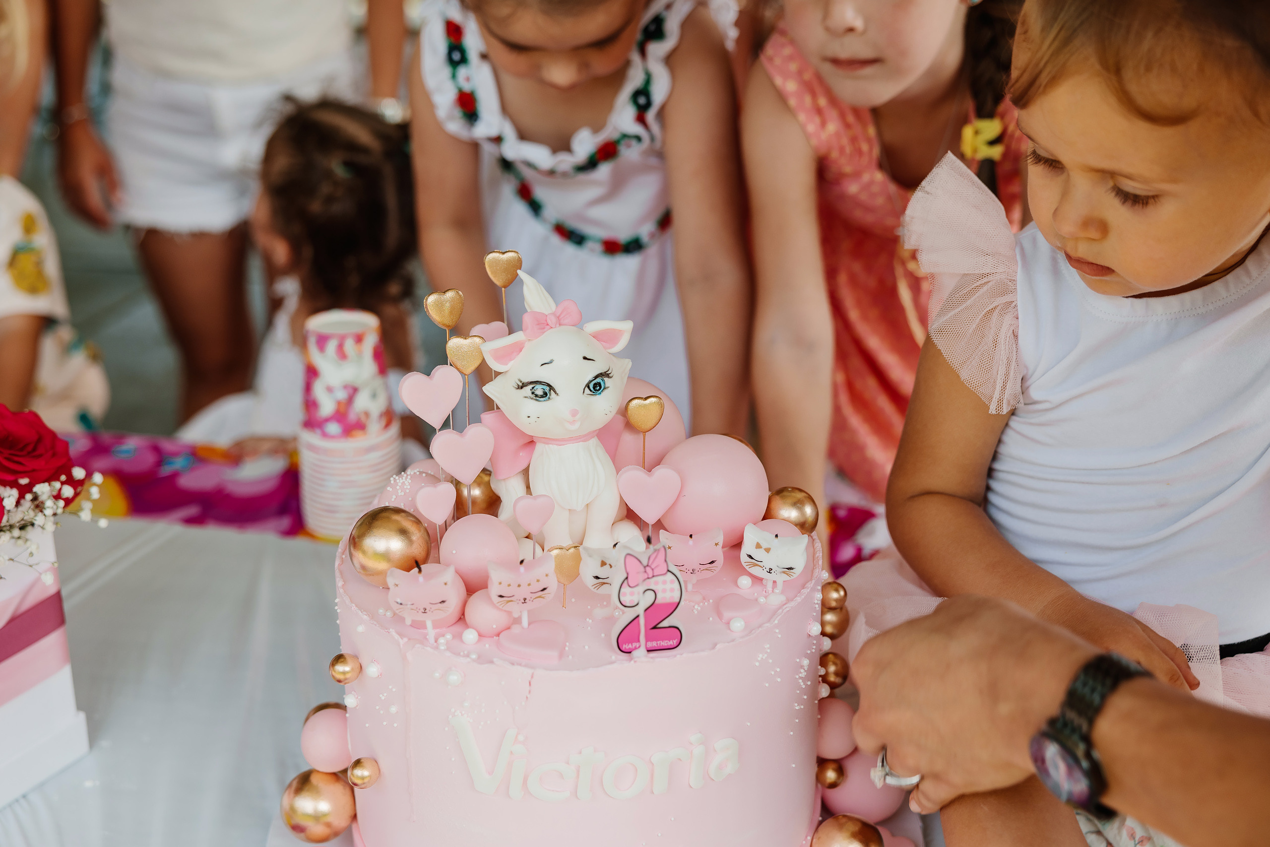 07.23.2023 Birthday Party. Wedding family event photographer in Chicago Nick Yushevich