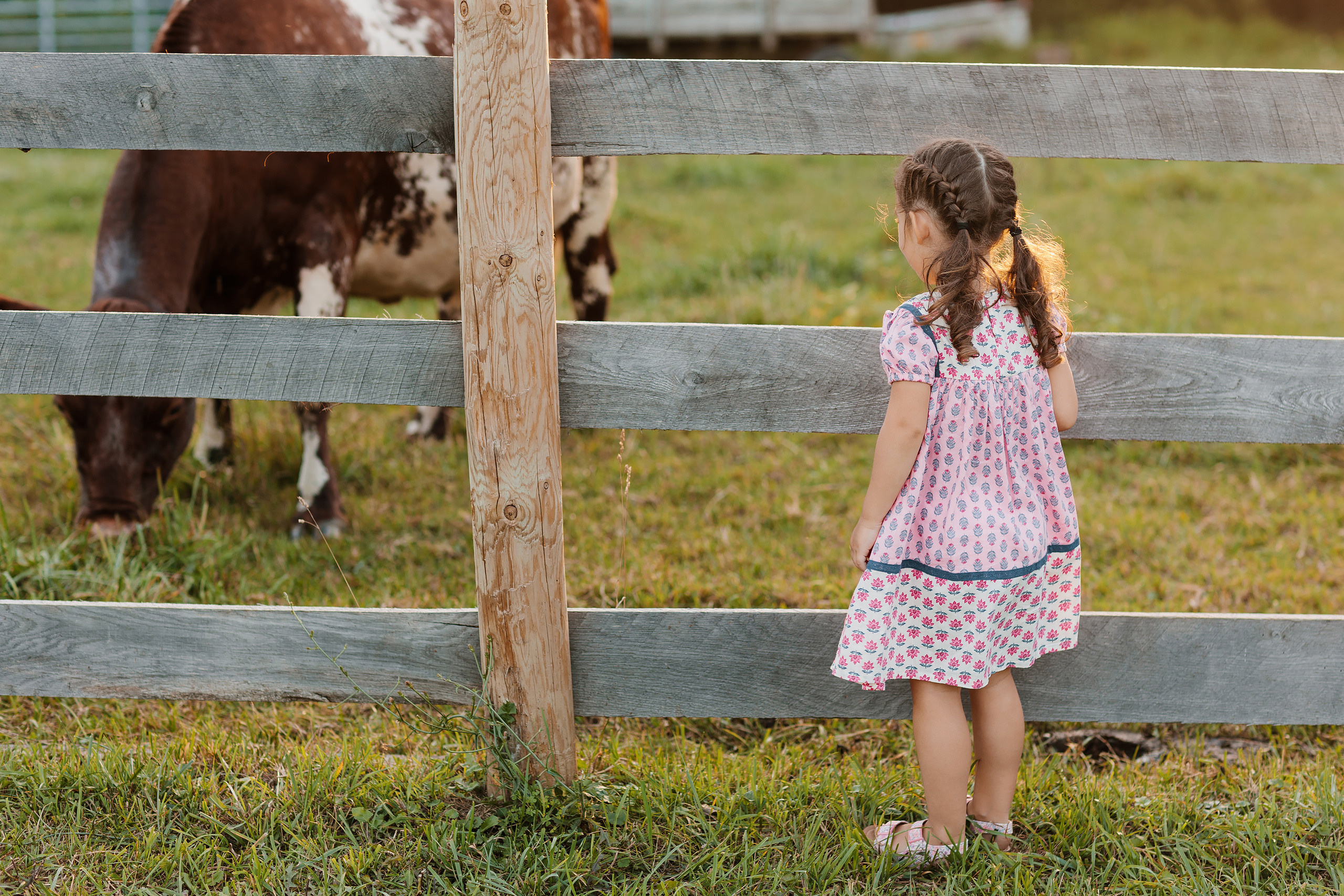 08.19.23 Family Photoshoot. Wedding family event photographer in Chicago Nick Yushevich