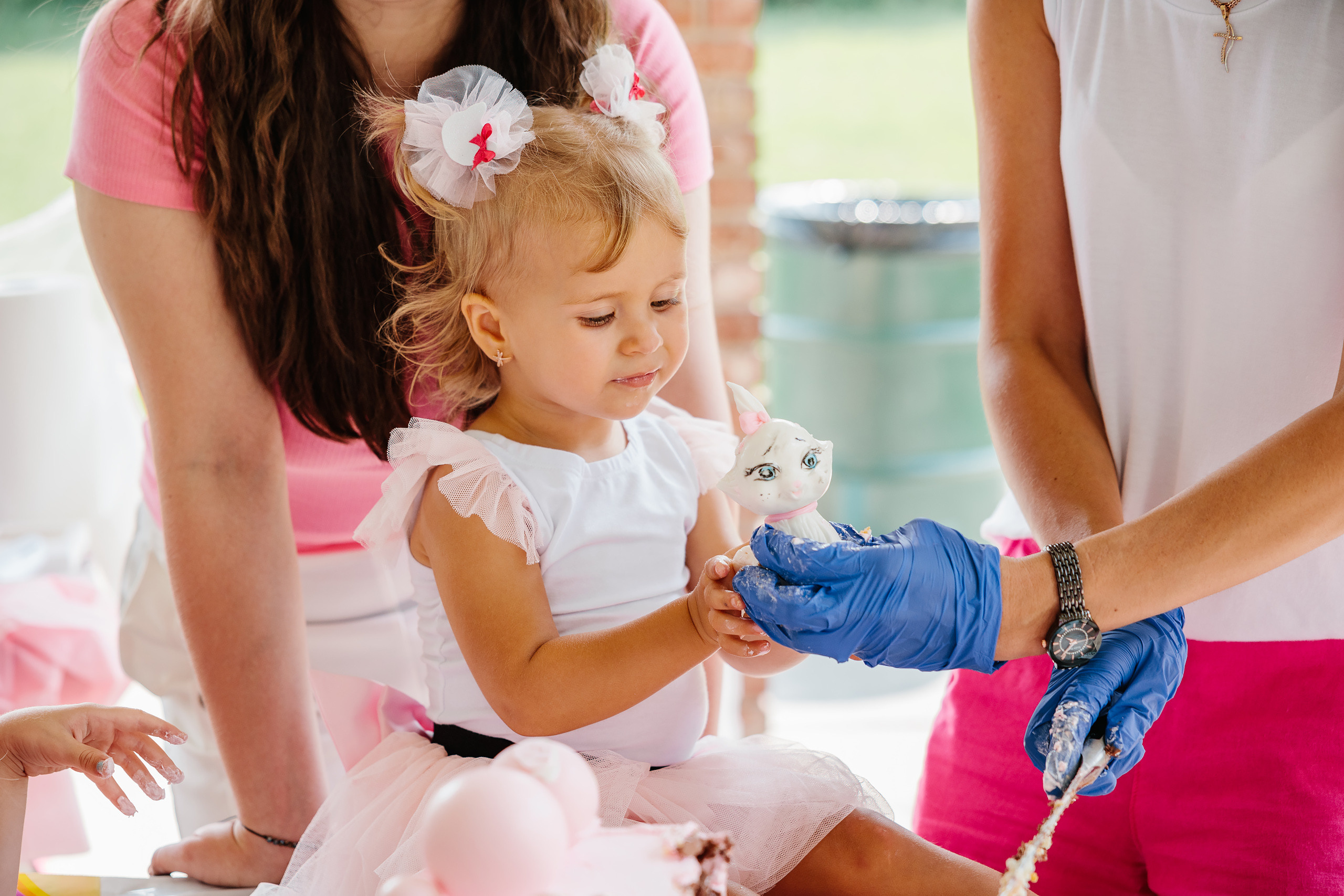 07.23.2023 Birthday Party. Wedding family event photographer in Chicago Nick Yushevich