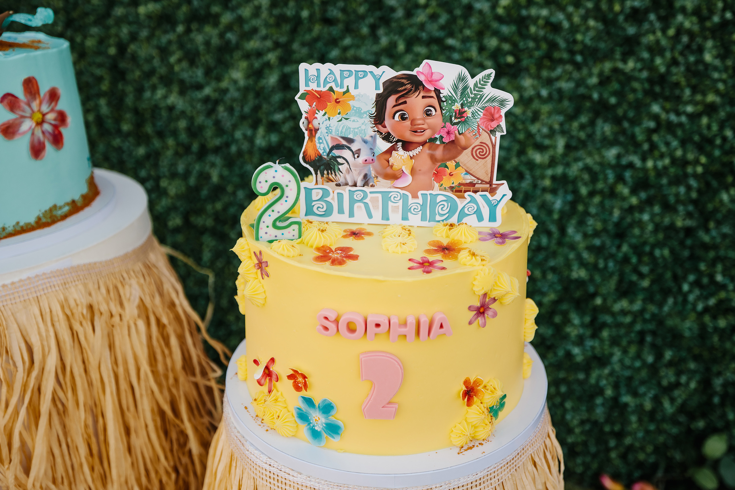 08.30.2023 Birthday Party. Wedding family event photographer in Chicago Nick Yushevich