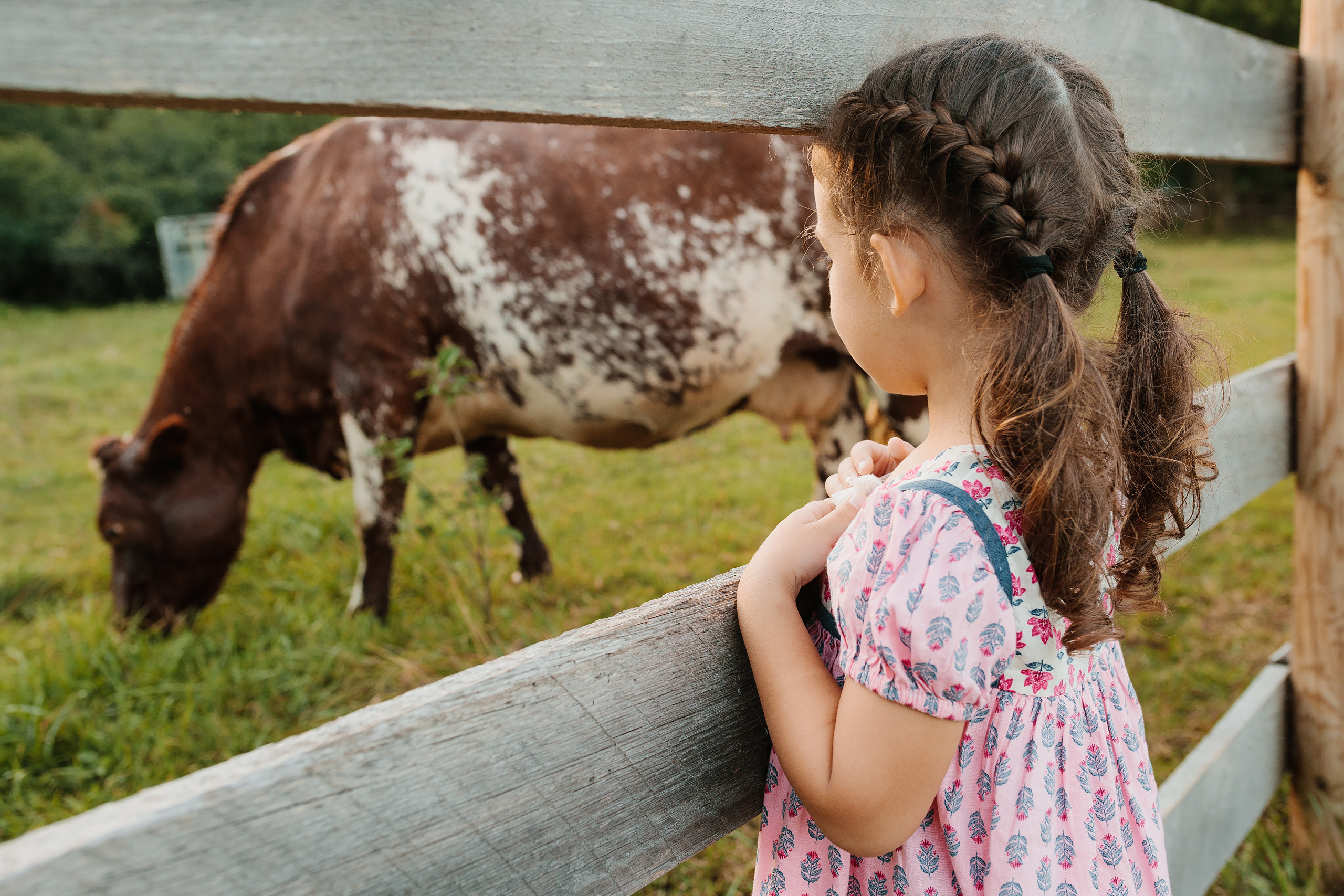 08.19.23 Family Photoshoot. Wedding family event photographer in Chicago Nick Yushevich