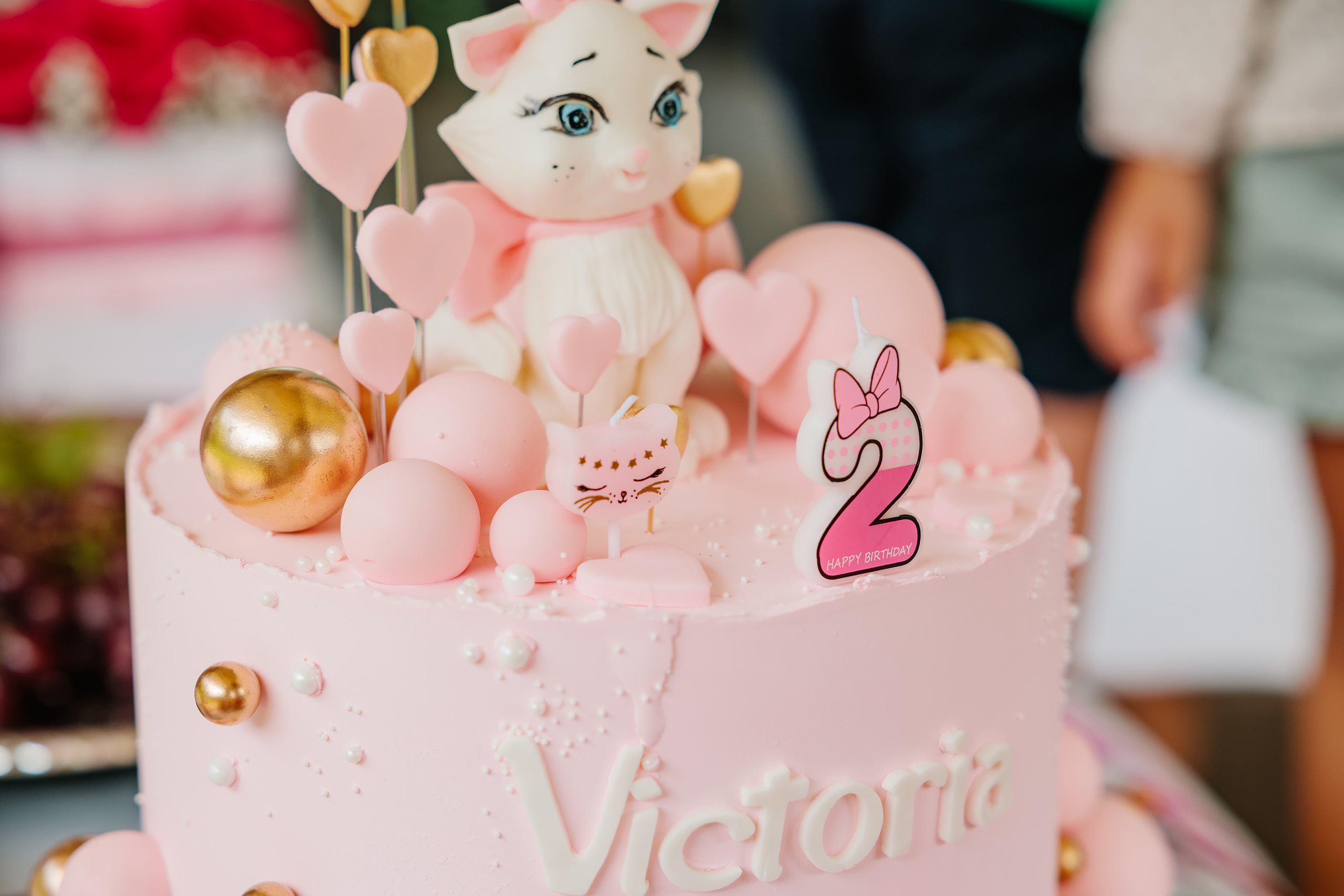 07.23.2023 Birthday Party. Wedding family event photographer in Chicago Nick Yushevich