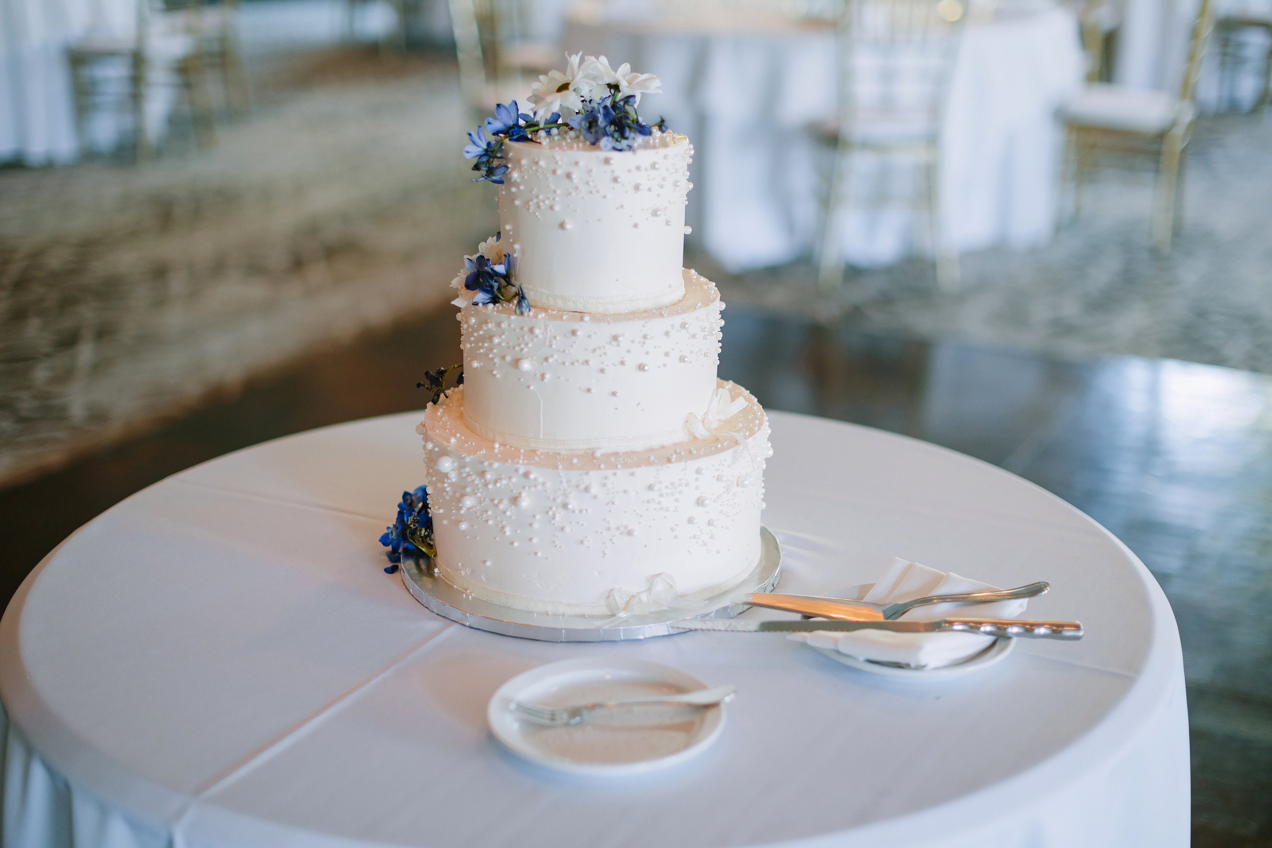 09.09.2023 Wedding. Wedding family event photographer in Chicago Nick Yushevich