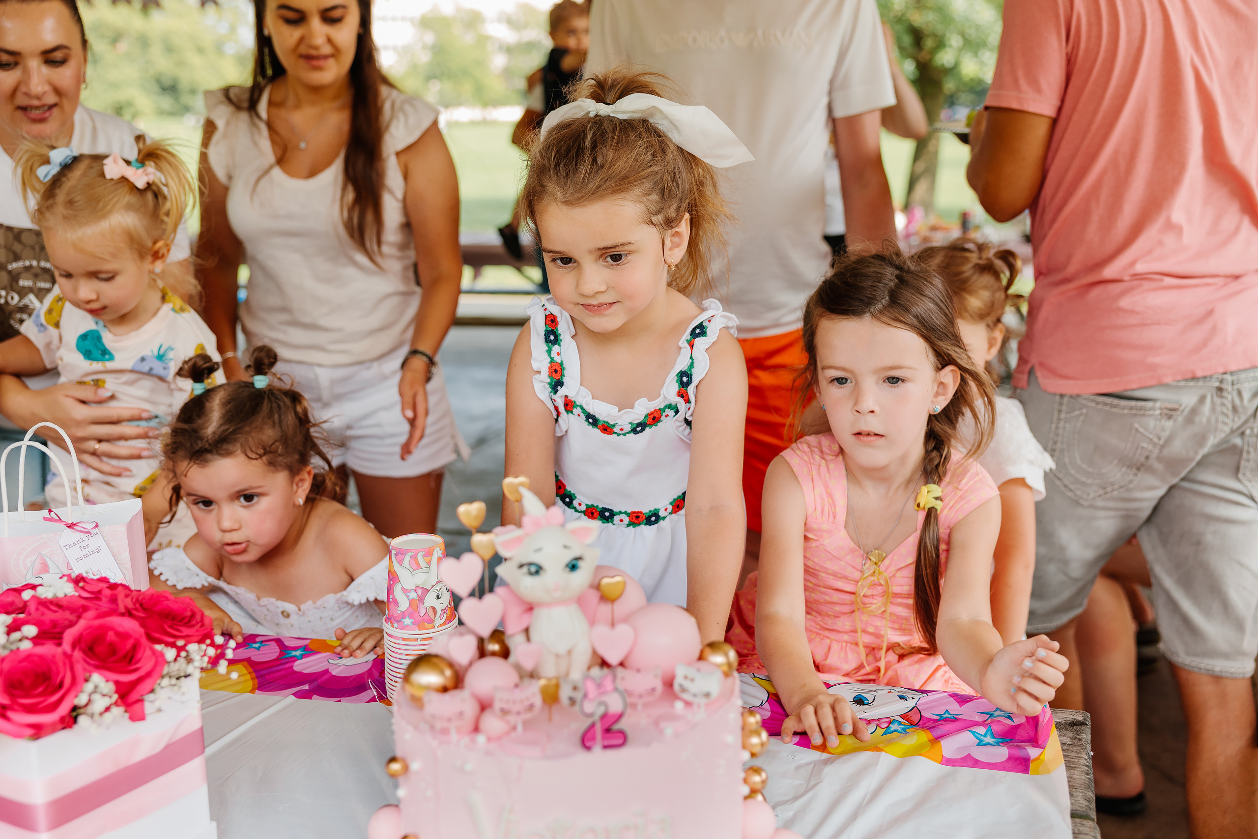 07.23.2023 Birthday Party. Wedding family event photographer in Chicago Nick Yushevich