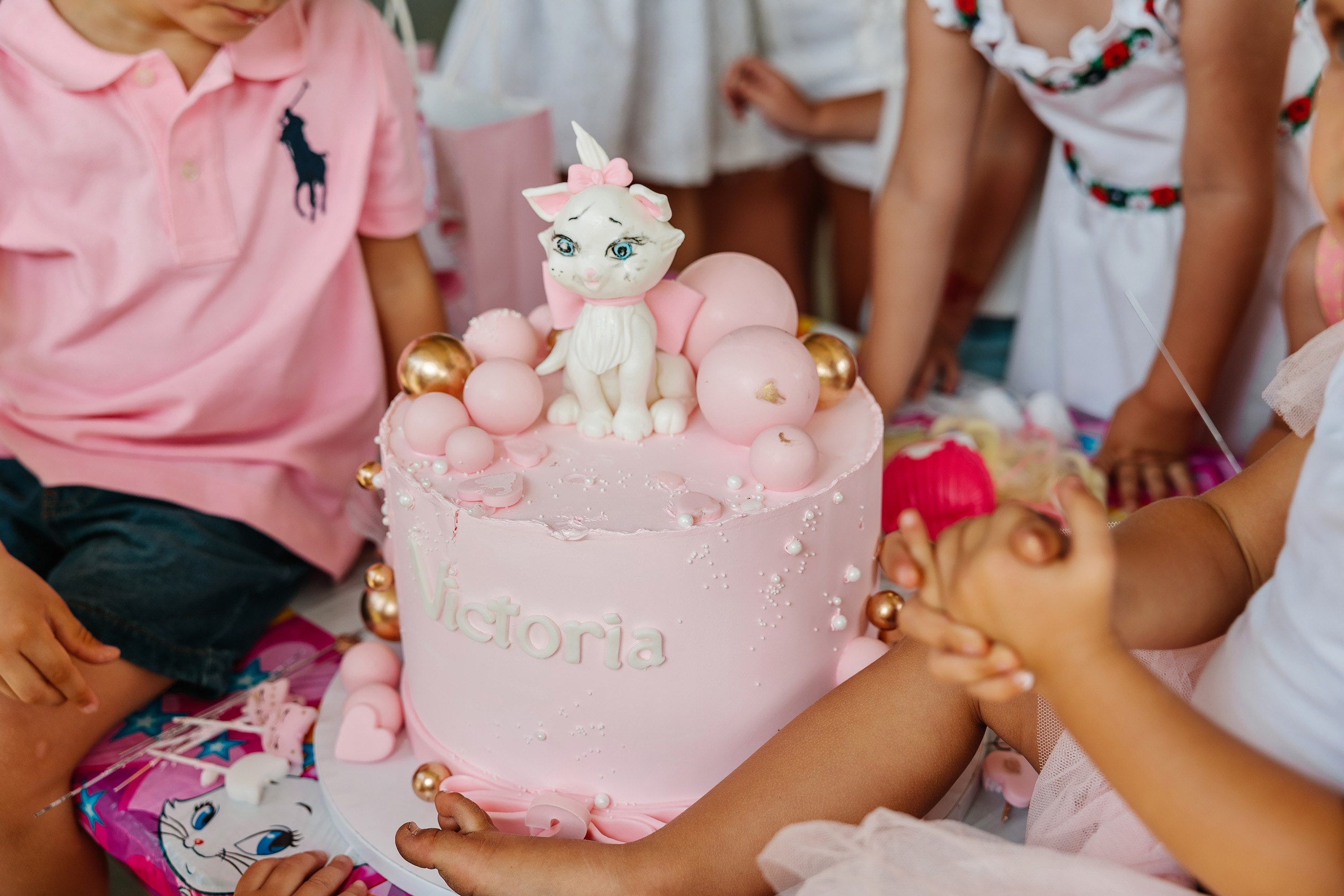 07.23.2023 Birthday Party. Wedding family event photographer in Chicago Nick Yushevich