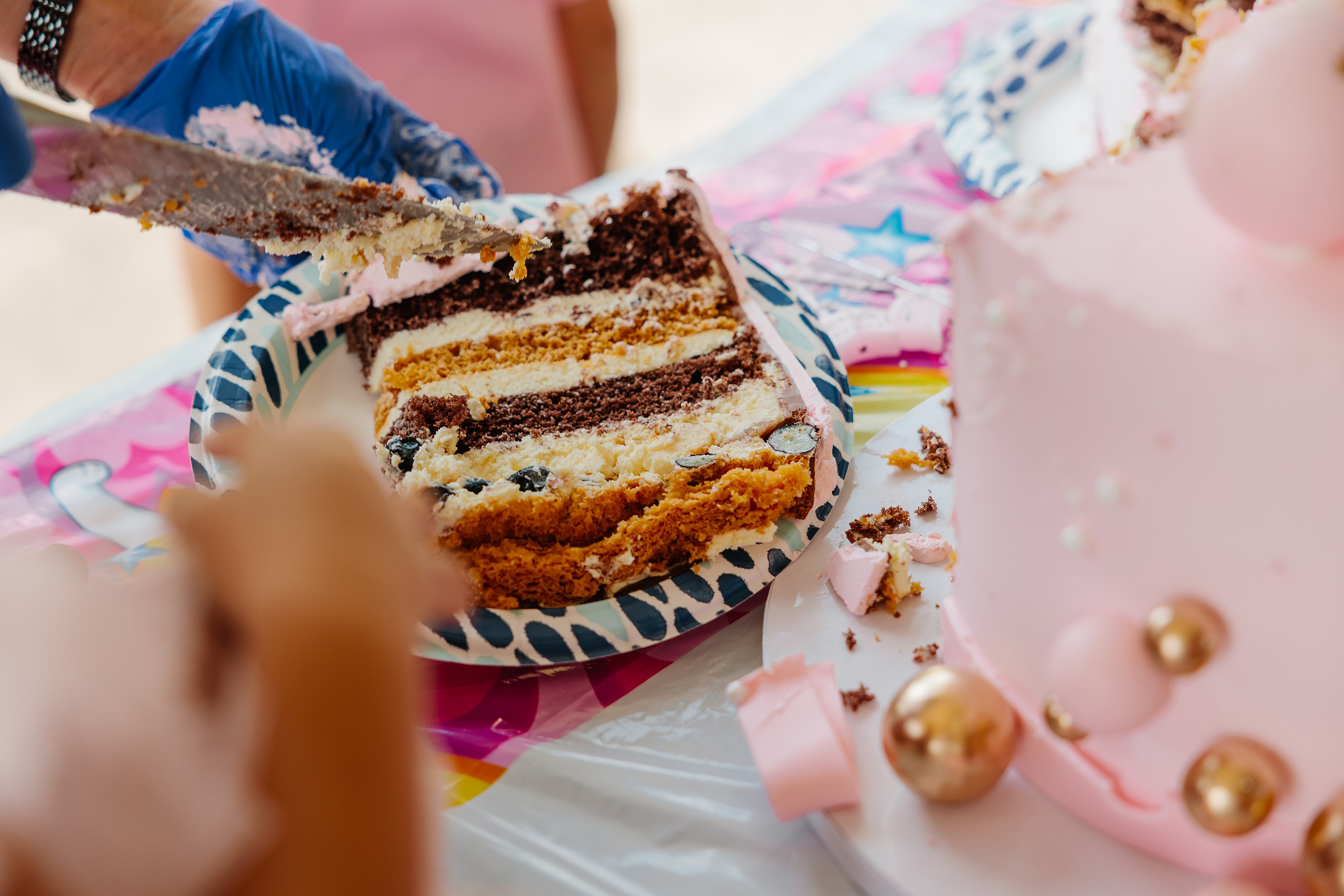 07.23.2023 Birthday Party. Wedding family event photographer in Chicago Nick Yushevich