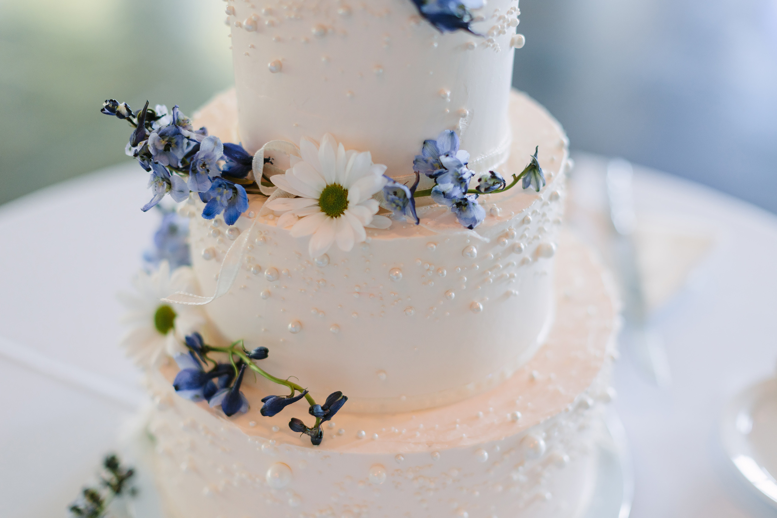 09.09.2023 Wedding. Wedding family event photographer in Chicago Nick Yushevich