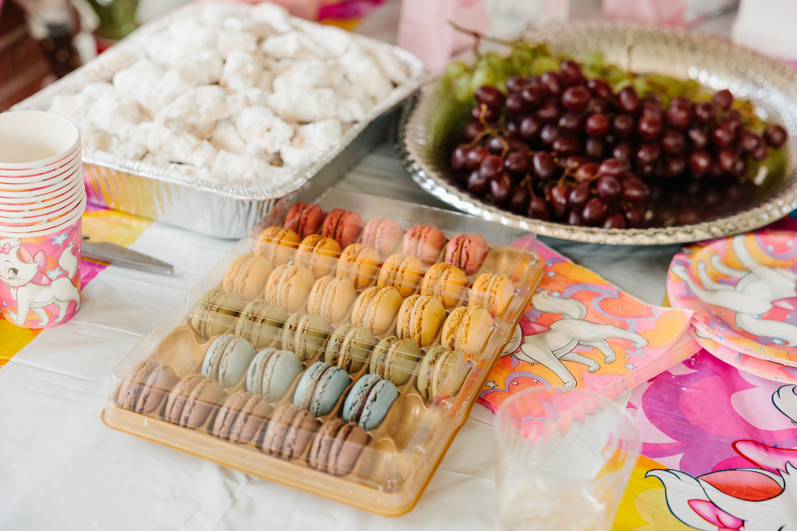 07.23.2023 Birthday Party. Wedding family event photographer in Chicago Nick Yushevich