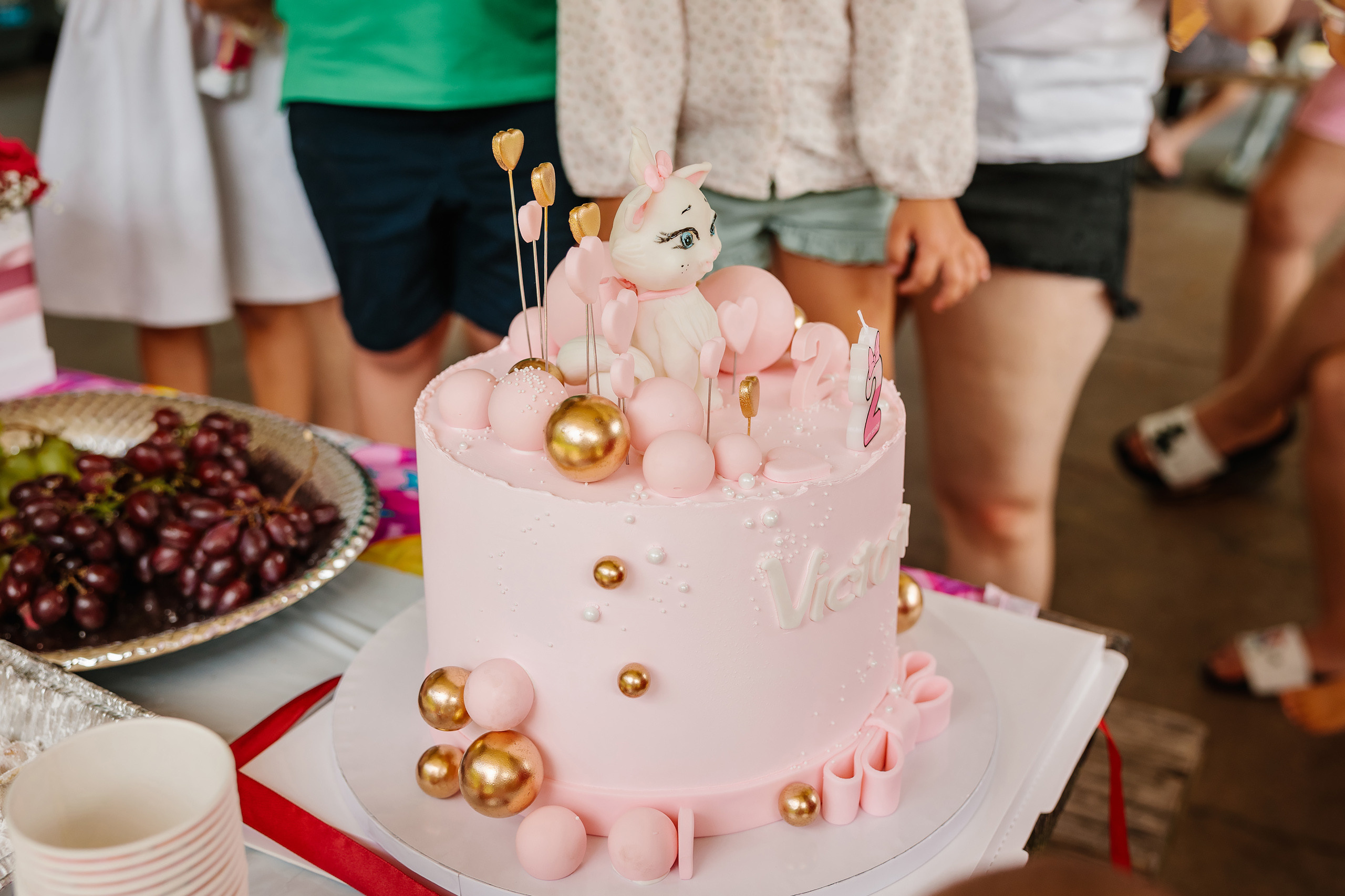 07.23.2023 Birthday Party. Wedding family event photographer in Chicago Nick Yushevich