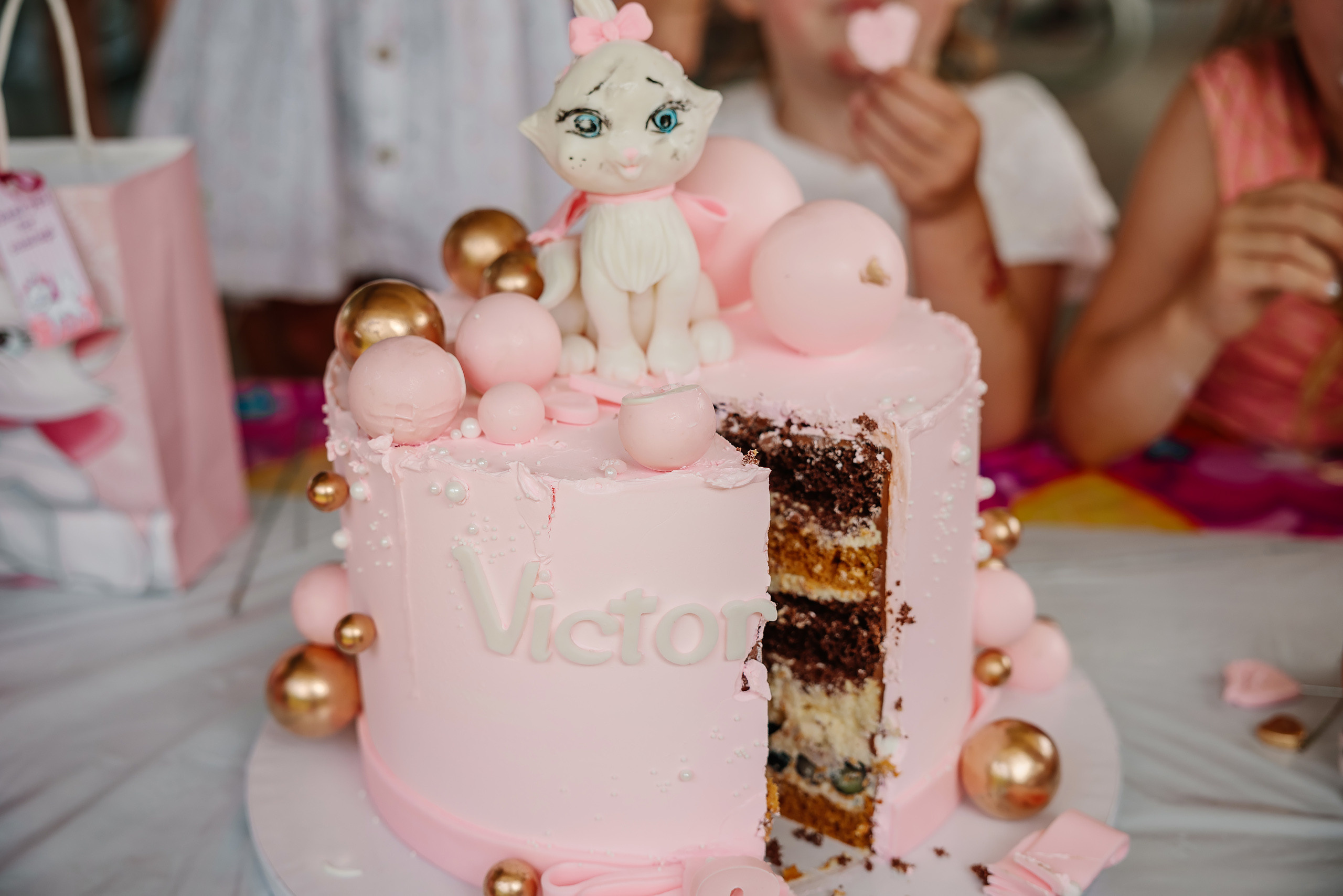 07.23.2023 Birthday Party. Wedding family event photographer in Chicago Nick Yushevich