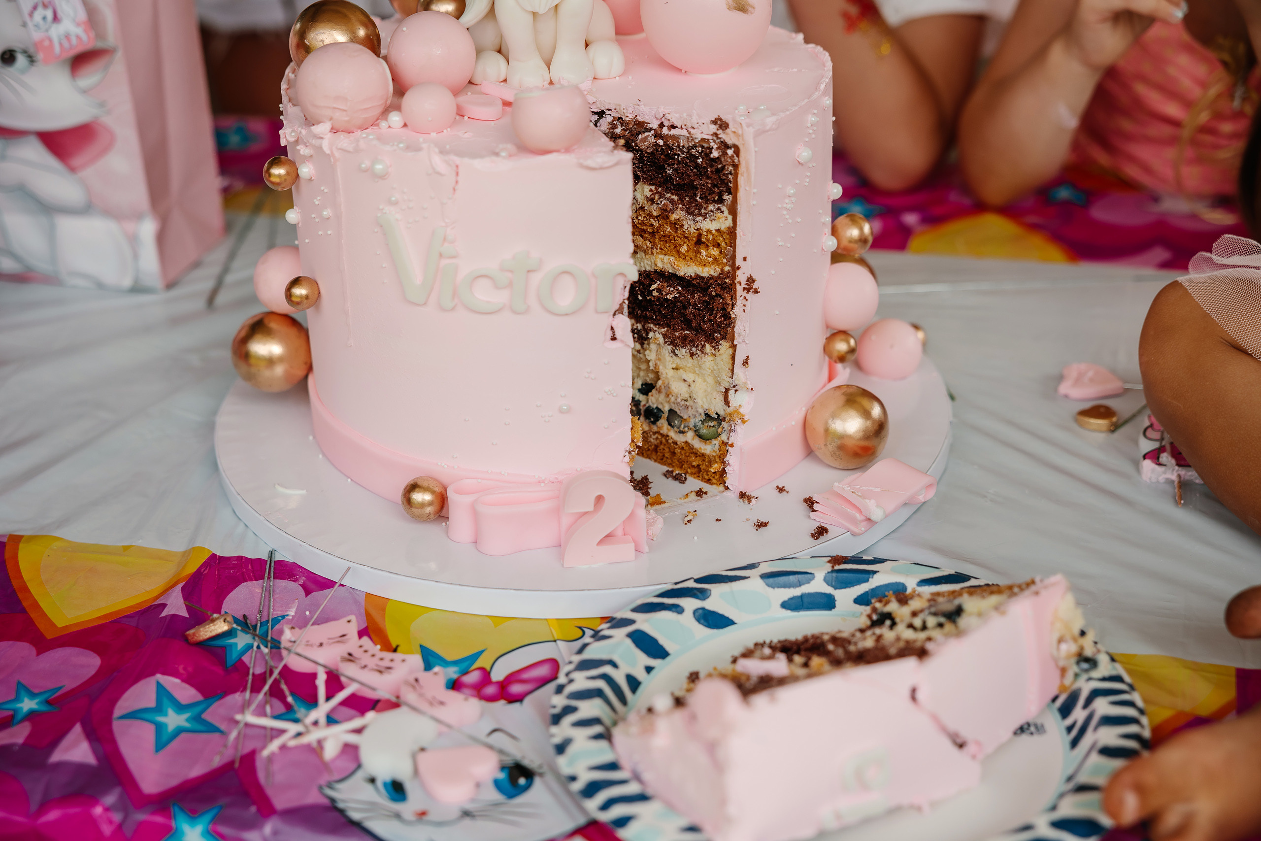 07.23.2023 Birthday Party. Wedding family event photographer in Chicago Nick Yushevich