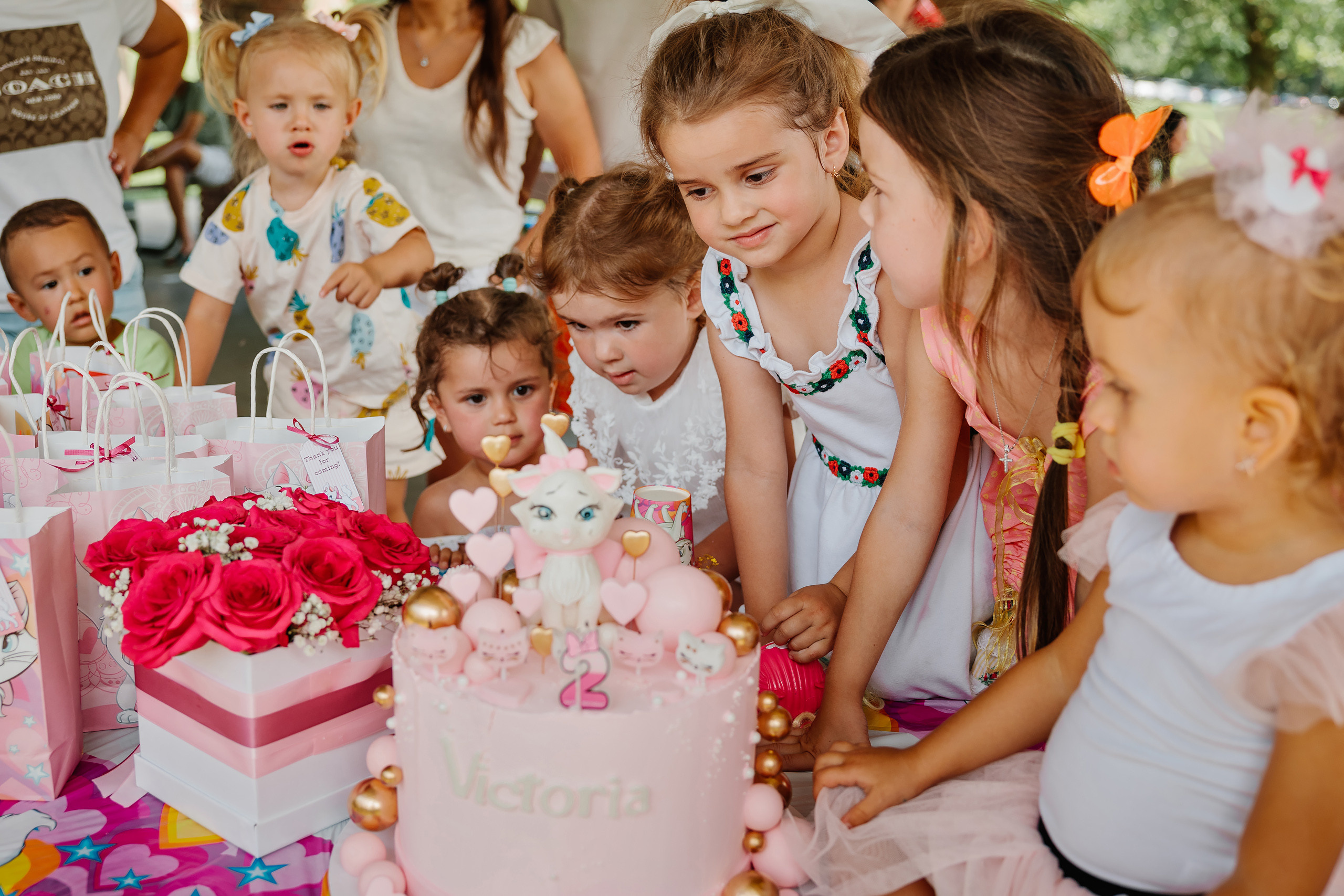 07.23.2023 Birthday Party. Wedding family event photographer in Chicago Nick Yushevich