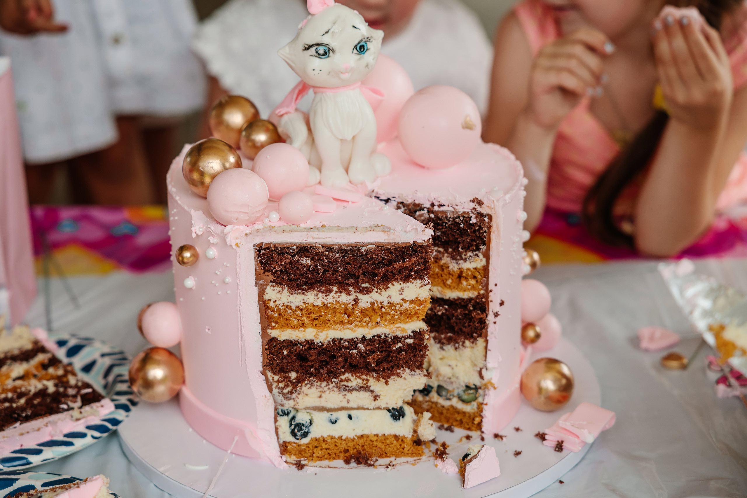 07.23.2023 Birthday Party. Wedding family event photographer in Chicago Nick Yushevich