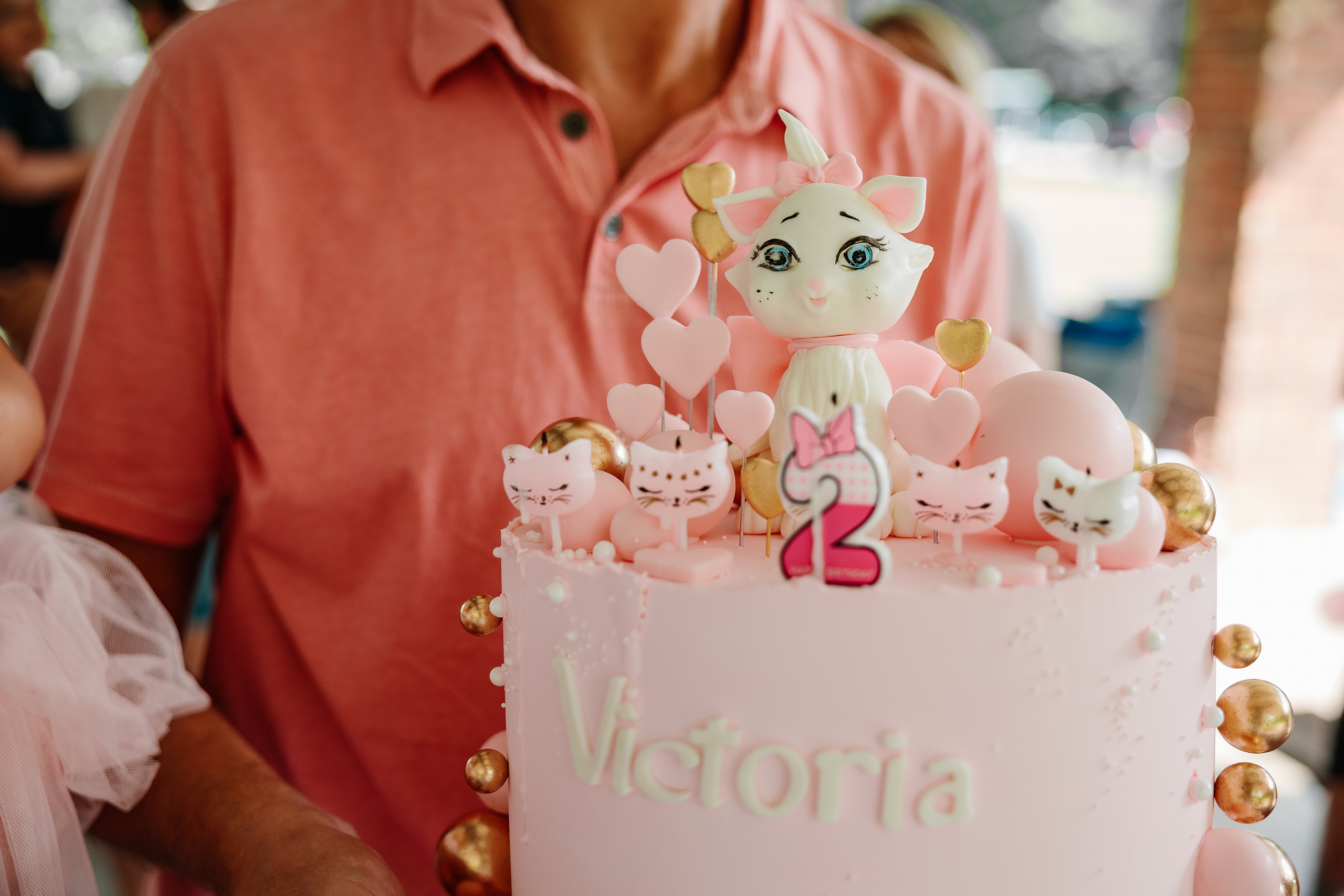 07.23.2023 Birthday Party. Wedding family event photographer in Chicago Nick Yushevich