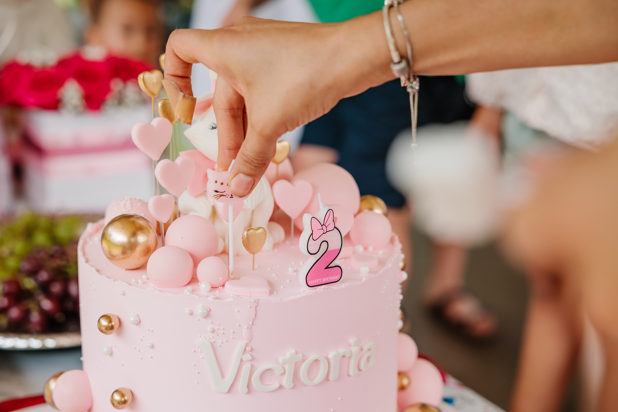 07.23.2023 Birthday Party. Wedding family event photographer in Chicago Nick Yushevich