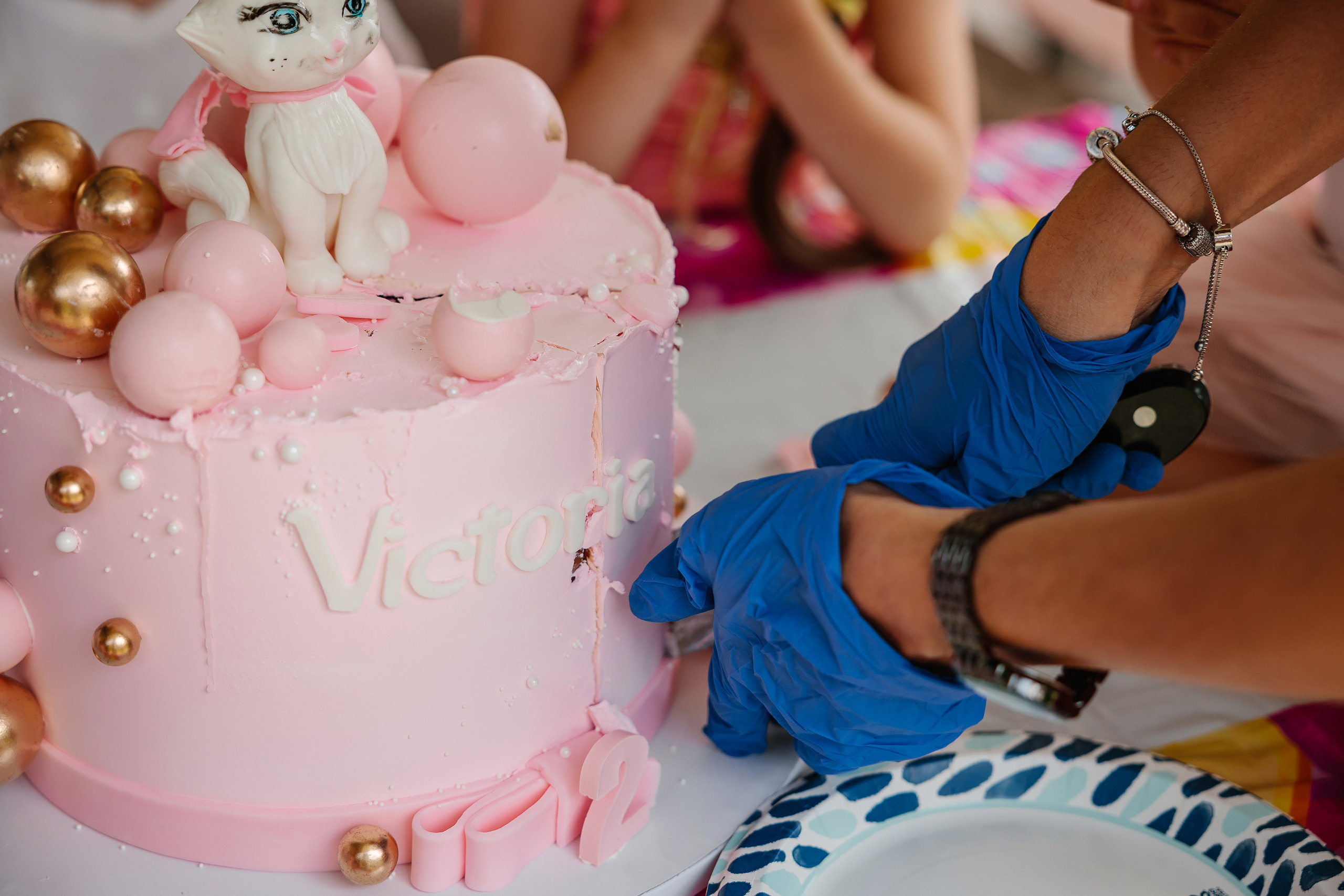 07.23.2023 Birthday Party. Wedding family event photographer in Chicago Nick Yushevich