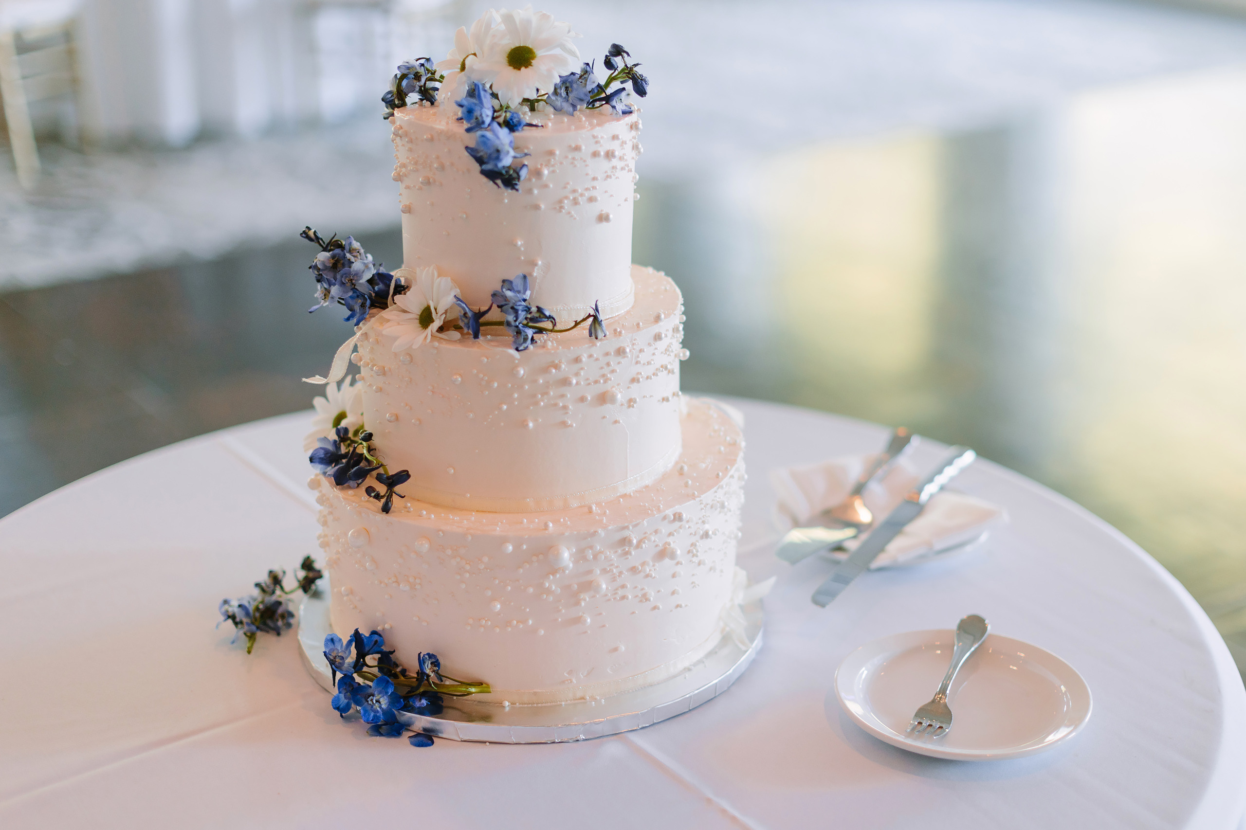 09.09.2023 Wedding. Wedding family event photographer in Chicago Nick Yushevich