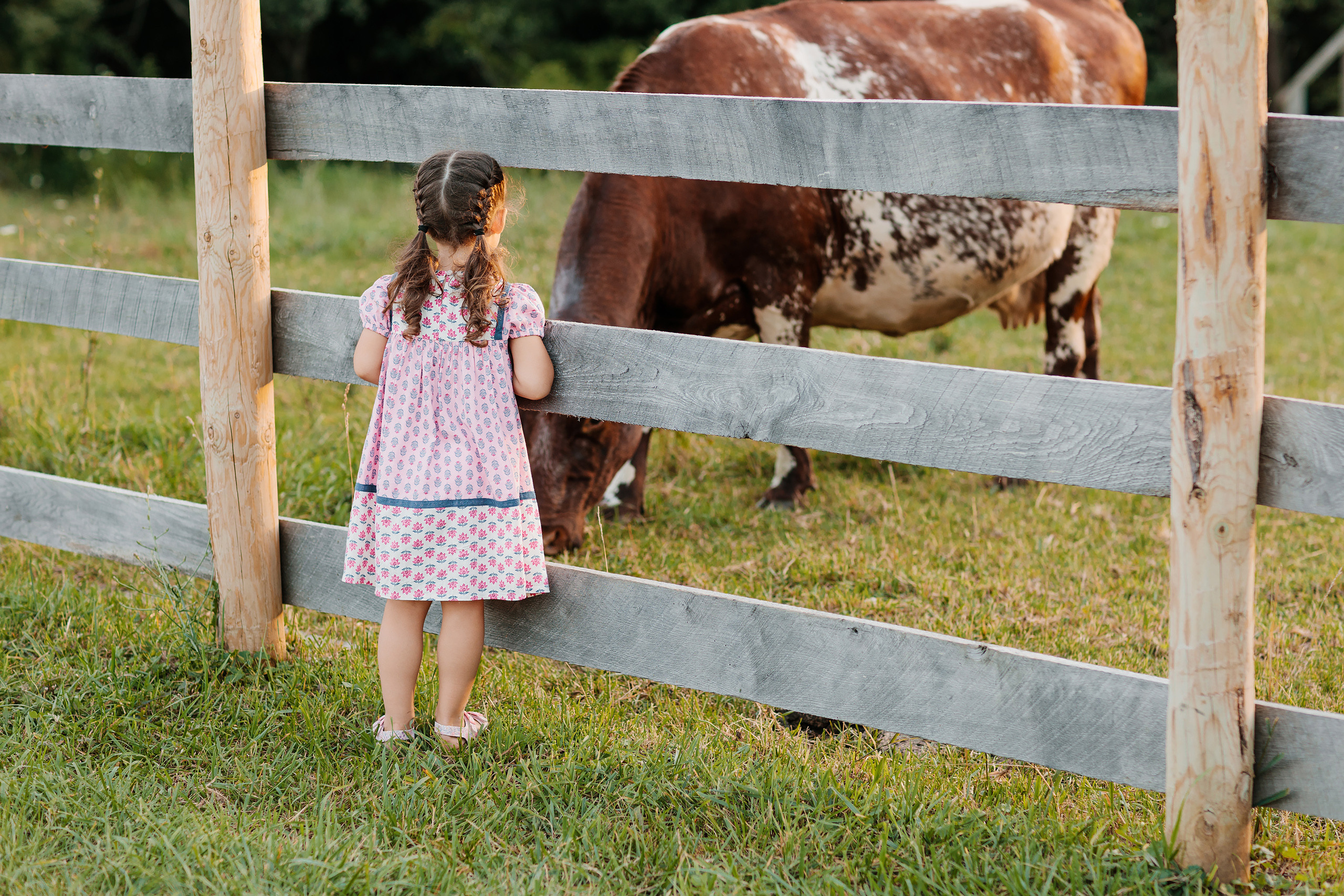 08.19.23 Family Photoshoot. Wedding family event photographer in Chicago Nick Yushevich