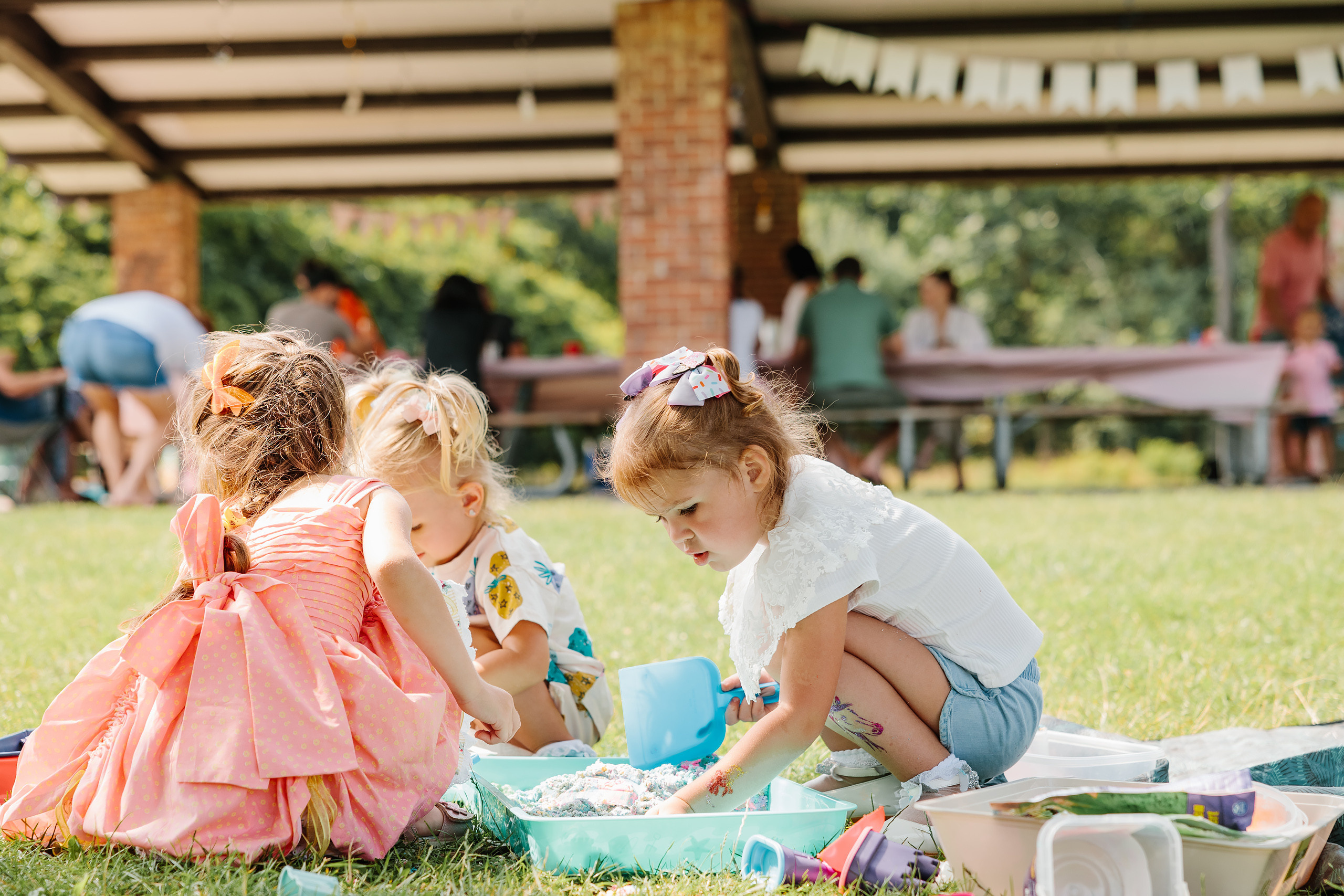 07.23.2023 Birthday Party. Wedding family event photographer in Chicago Nick Yushevich