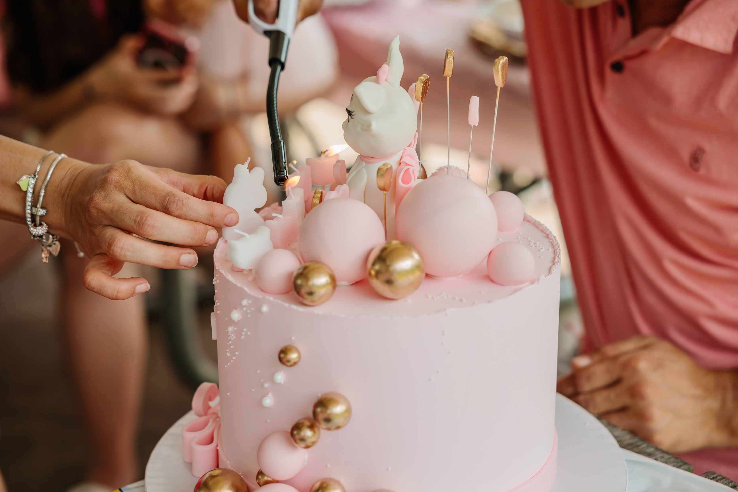 07.23.2023 Birthday Party. Wedding family event photographer in Chicago Nick Yushevich