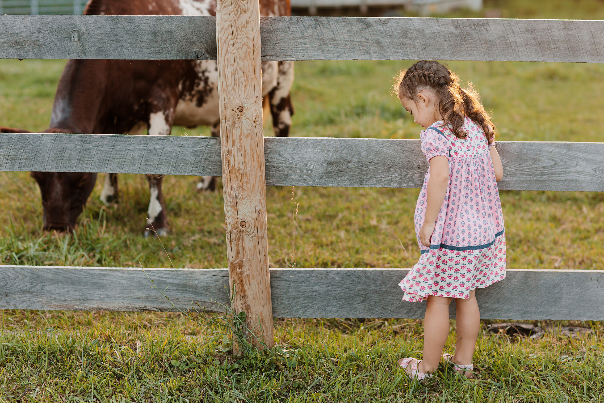 08.19.23 Family Photoshoot. Wedding family event photographer in Chicago Nick Yushevich
