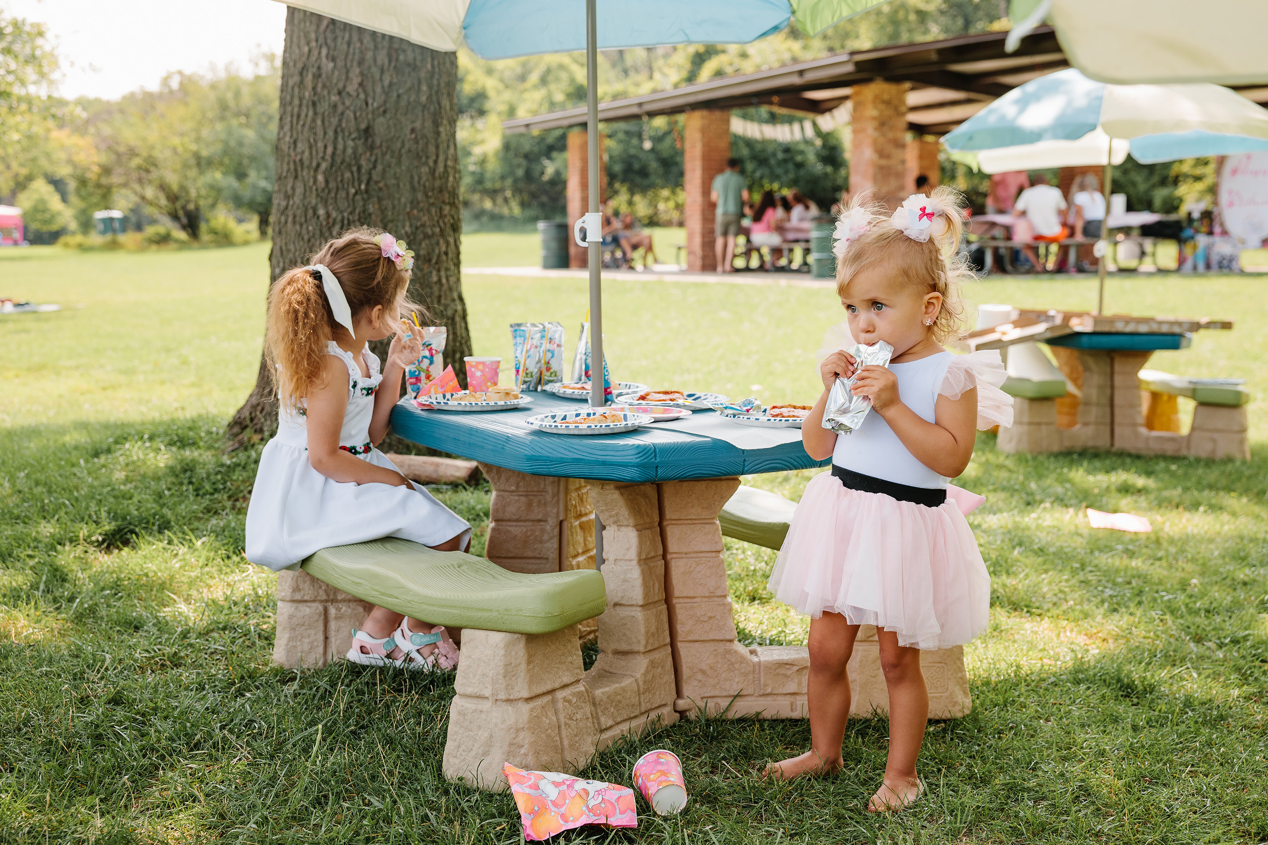 07.23.2023 Birthday Party. Wedding family event photographer in Chicago Nick Yushevich