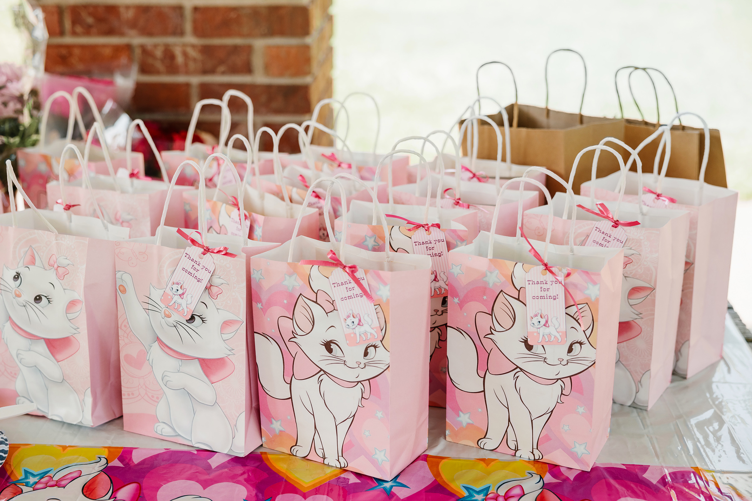 07.23.2023 Birthday Party. Wedding family event photographer in Chicago Nick Yushevich