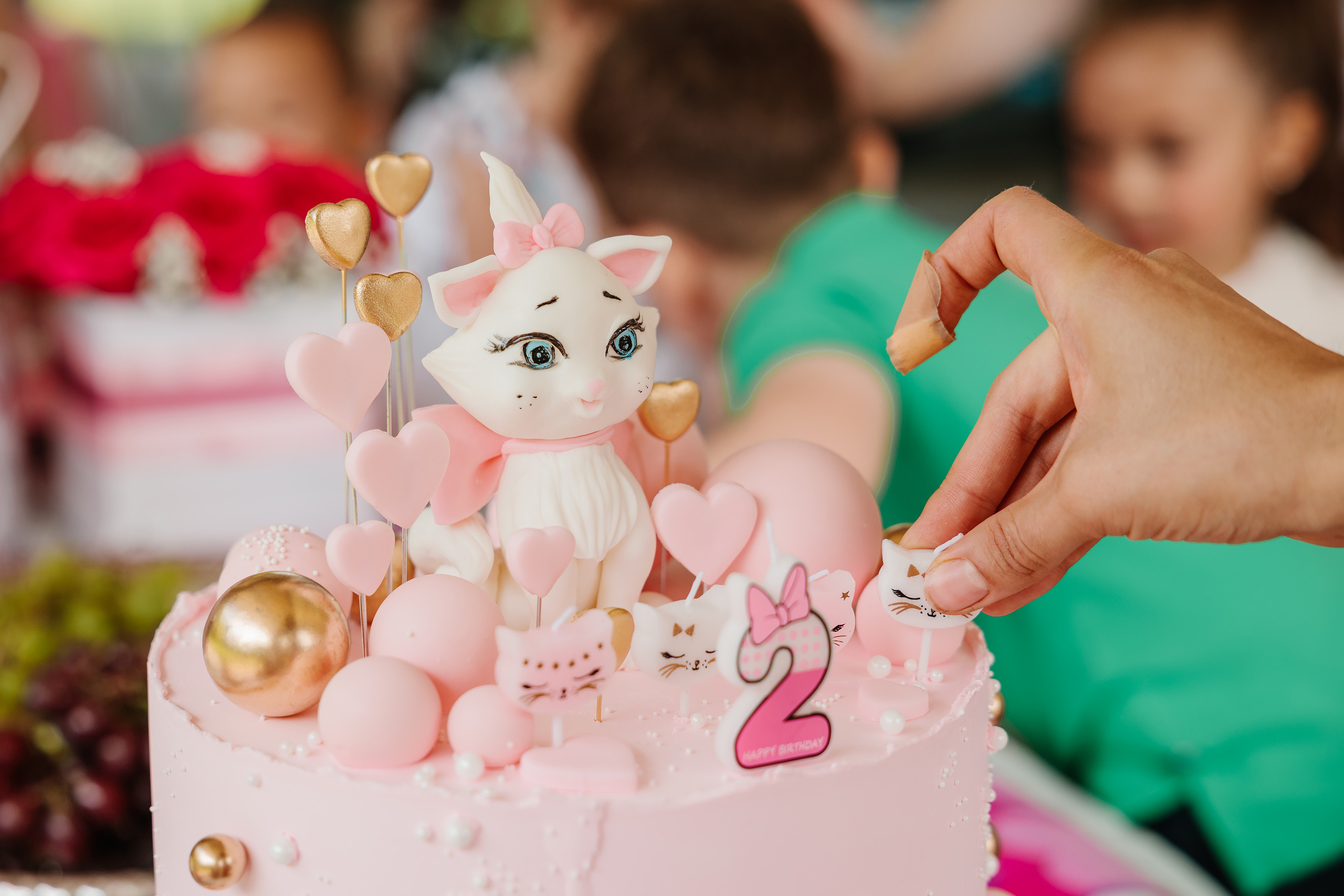 07.23.2023 Birthday Party. Wedding family event photographer in Chicago Nick Yushevich