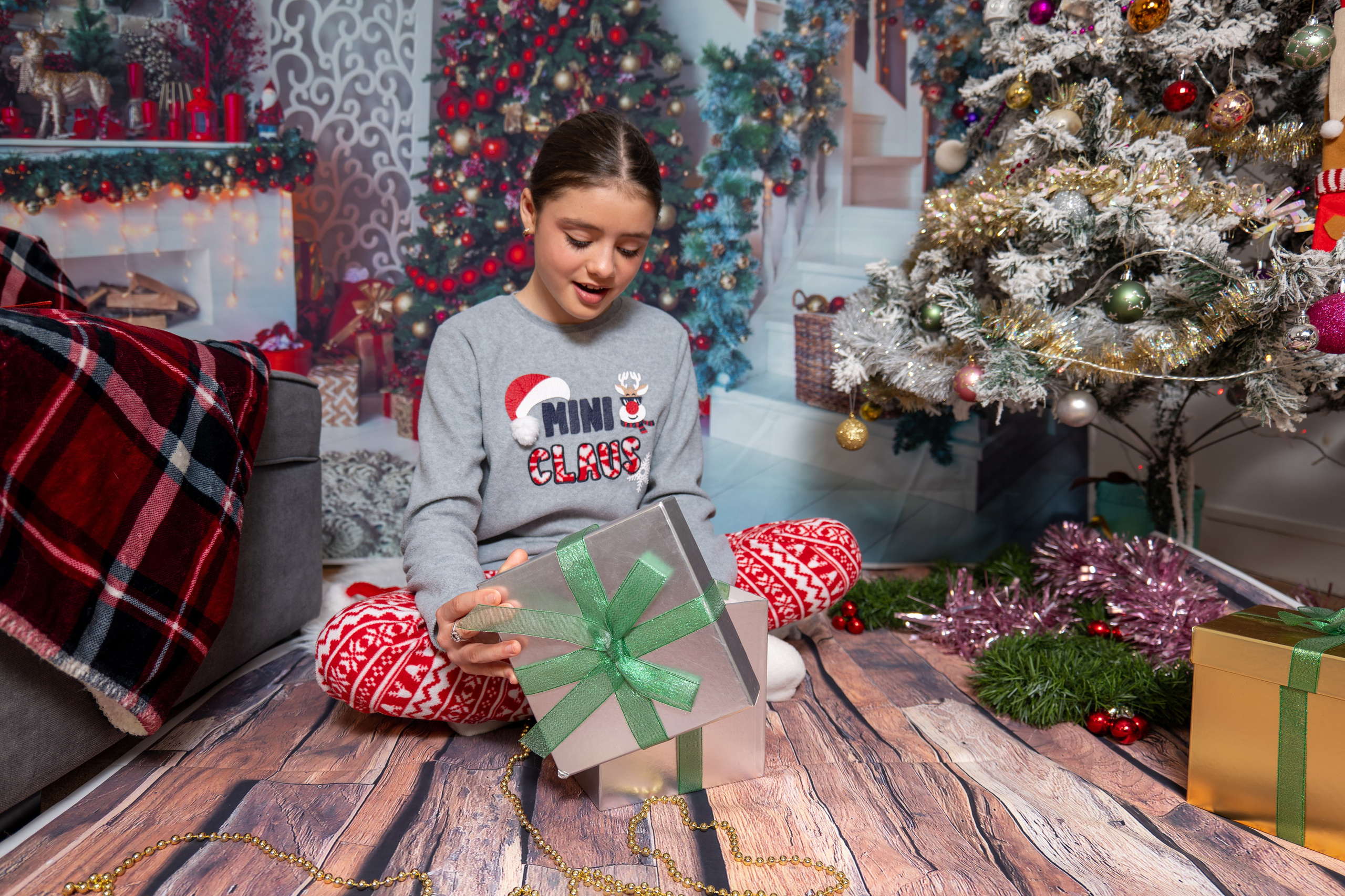 Christmas. Fotograful și Cameramanul familiei dvs în Franța Paul Photographer