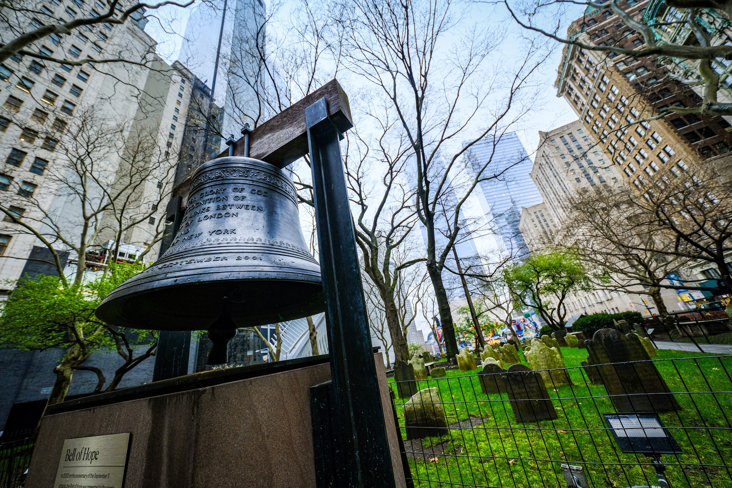 NEW YORK / 2025. Reportage concert portrait photography in the San Francisco Bay Area