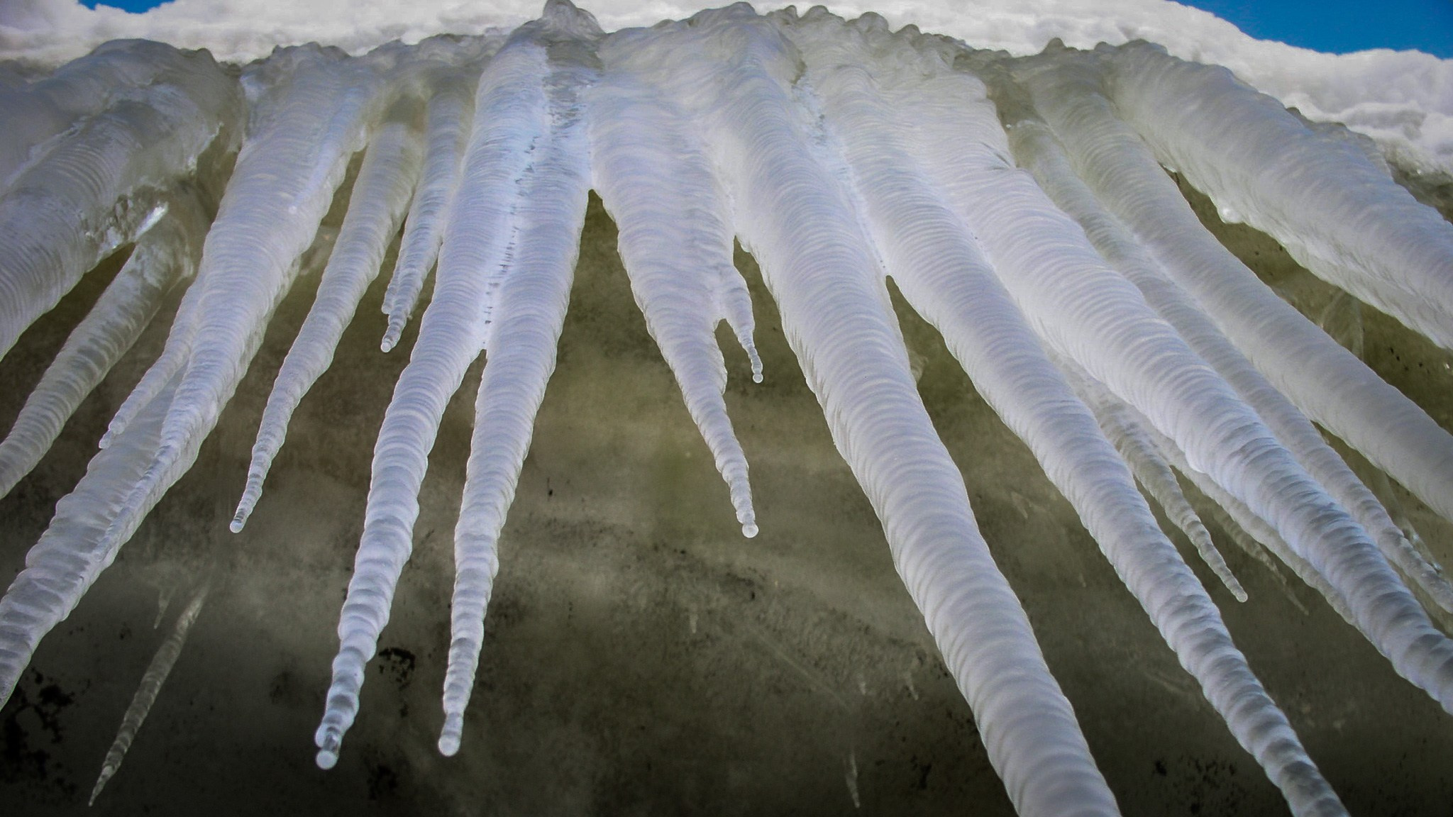 ANTARCTICA / 2004. Reportage concert portrait photography in the San Francisco Bay Area