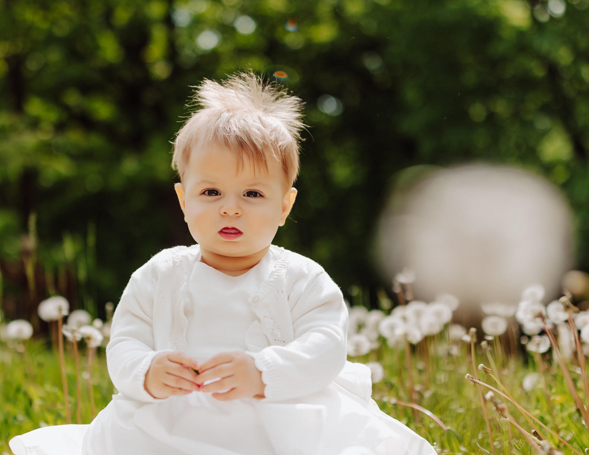Ilinca. Φωτογράφος και βιντεογράφος γάμου
