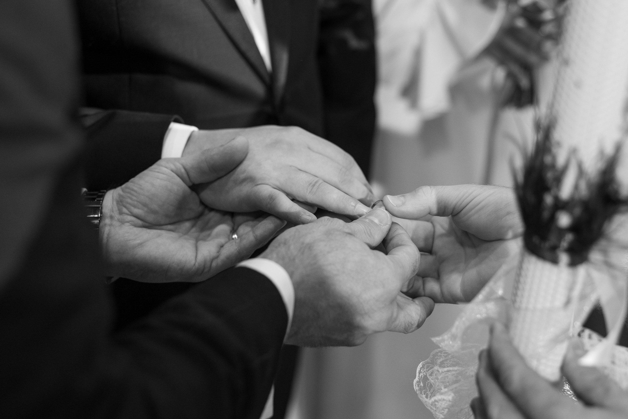 Château des Hauts de Provins, Cristina & Maxim