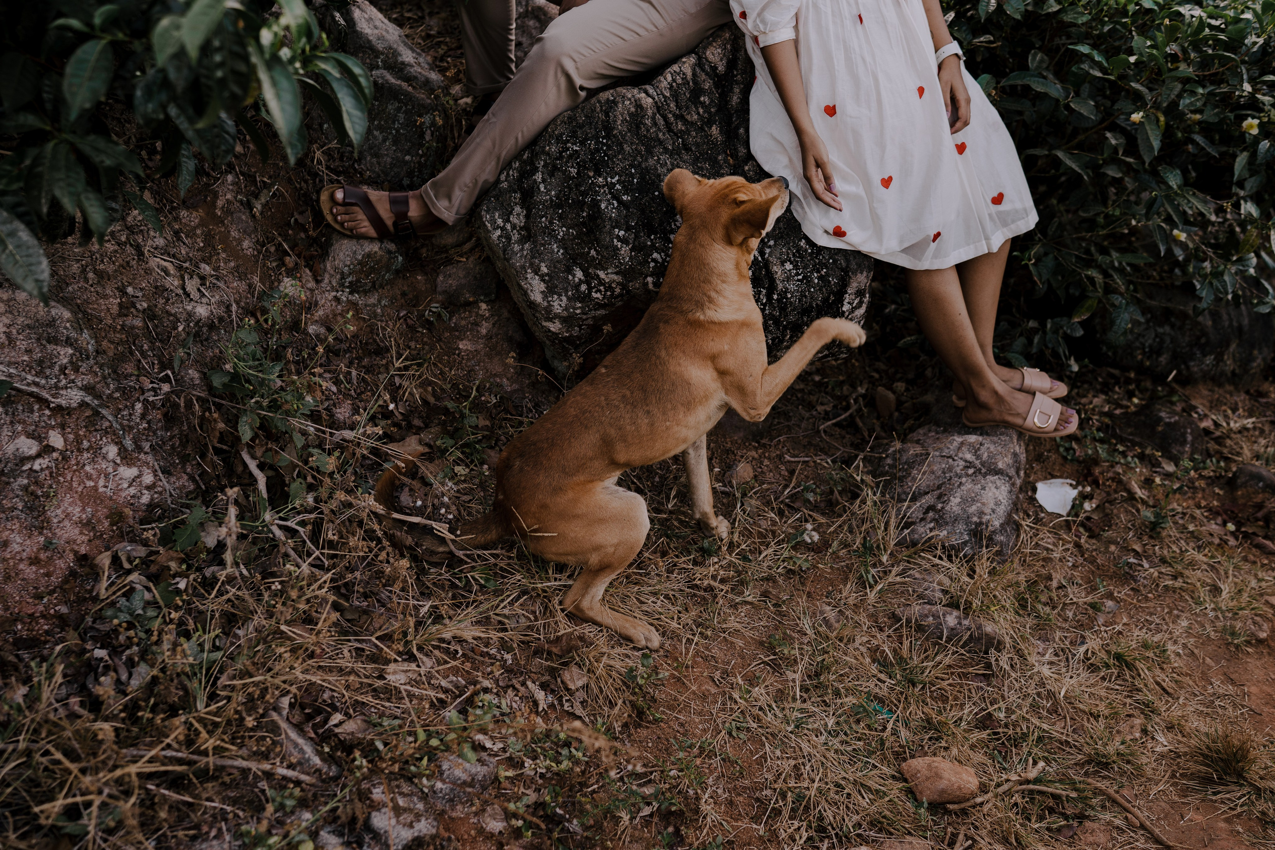 Greeshma & Vignesh. Agam Vizha